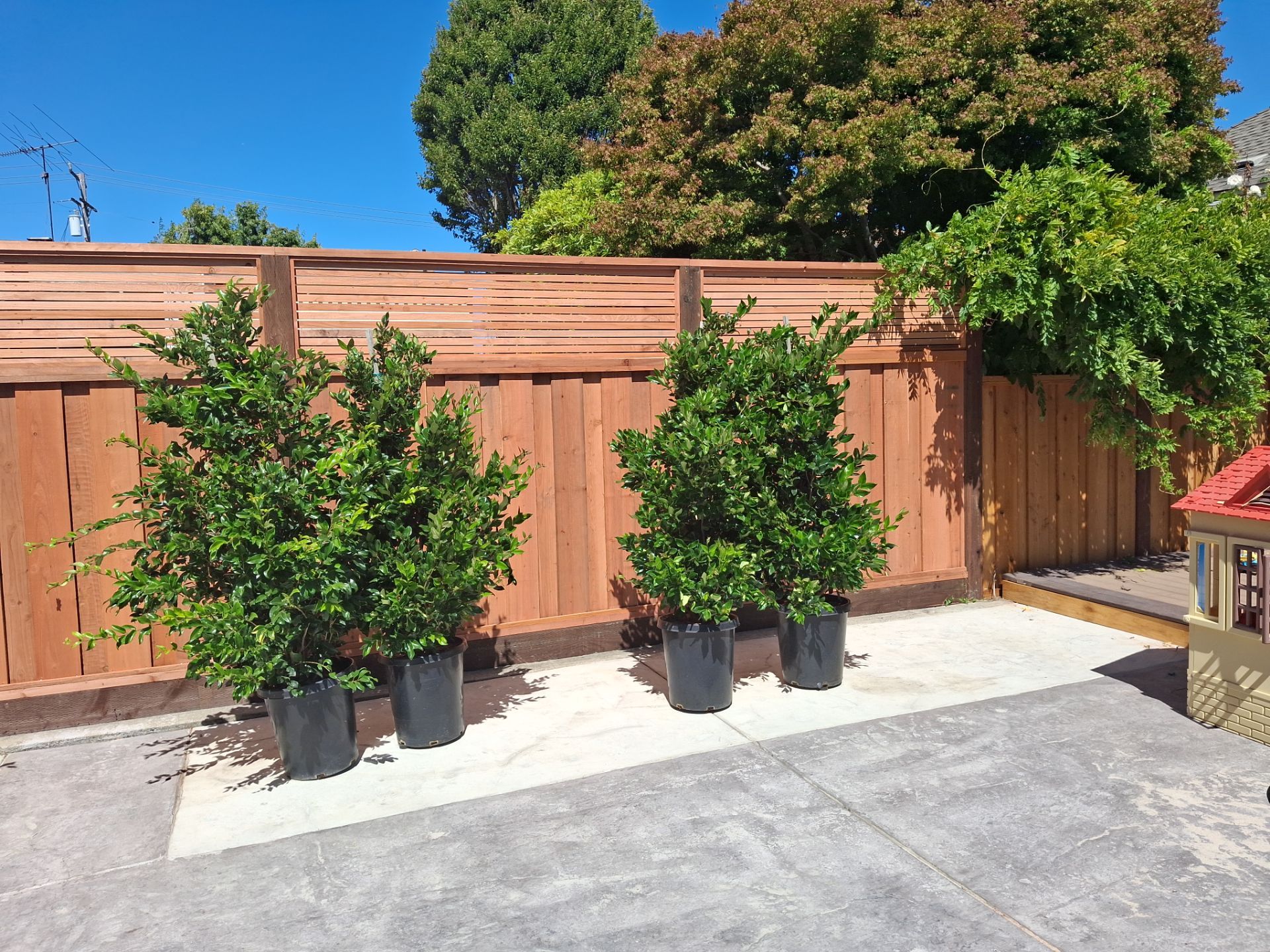 Board on Board With Horizontal Lattice by Fremont Fence Inc