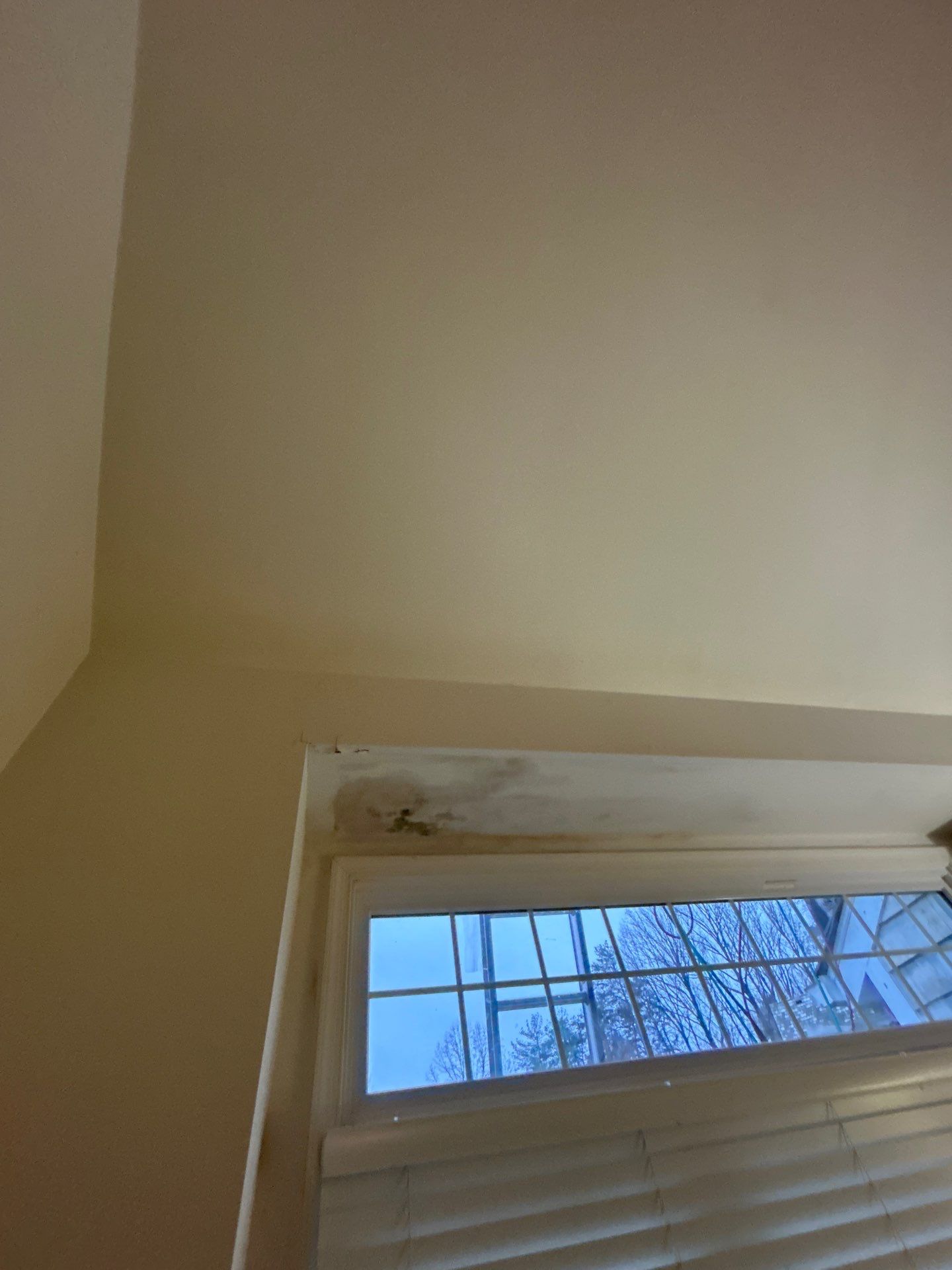 Reston :  Residential Roof Replacement with Brava Synthetic Cedar Shake Class C Natural  by RM Banning, Inc.