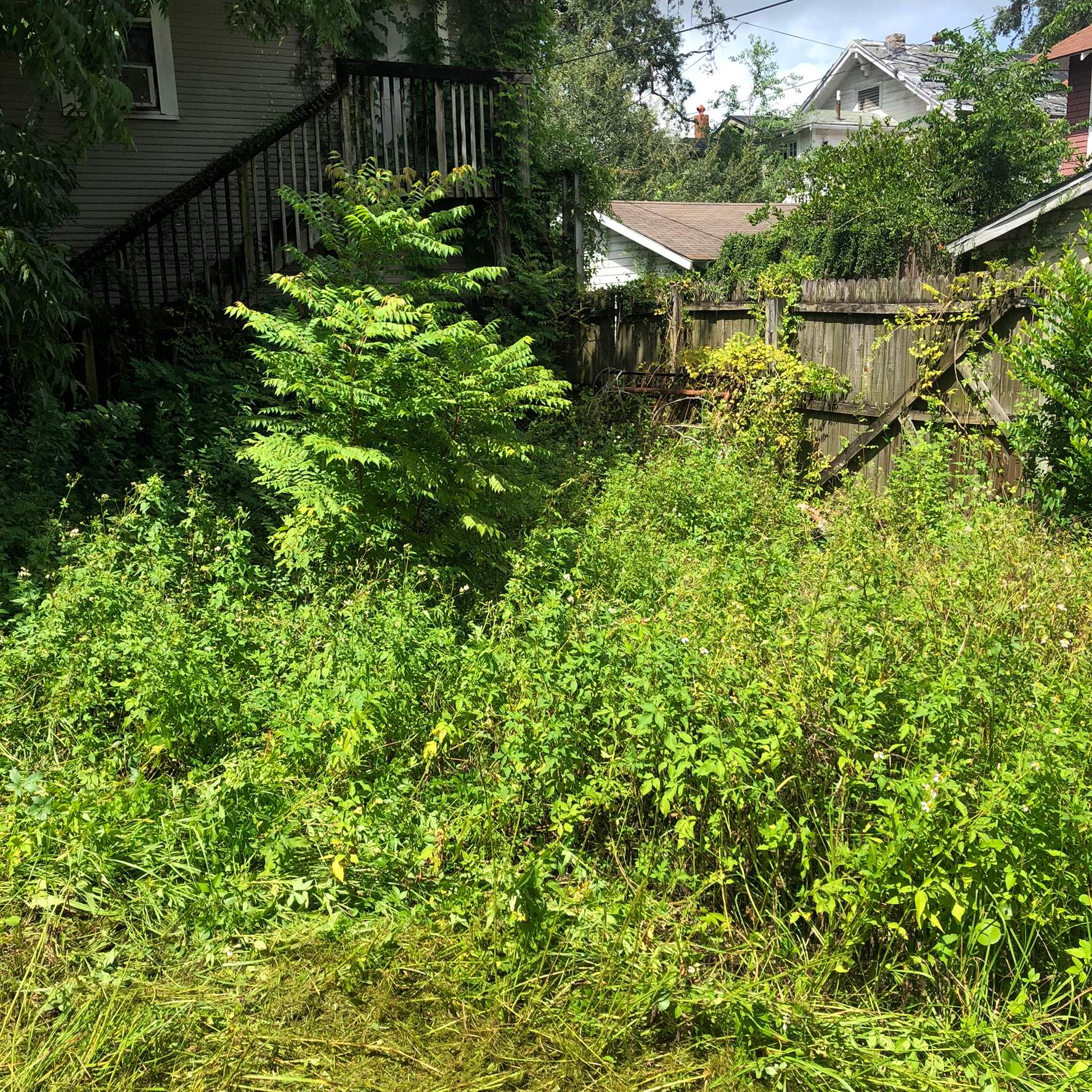 Extreme Clean Up | Riverside Area by ProGreen Services