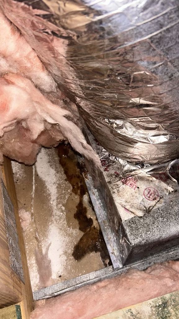 Nokomis Mold Remediation by Ampm Restoration Services