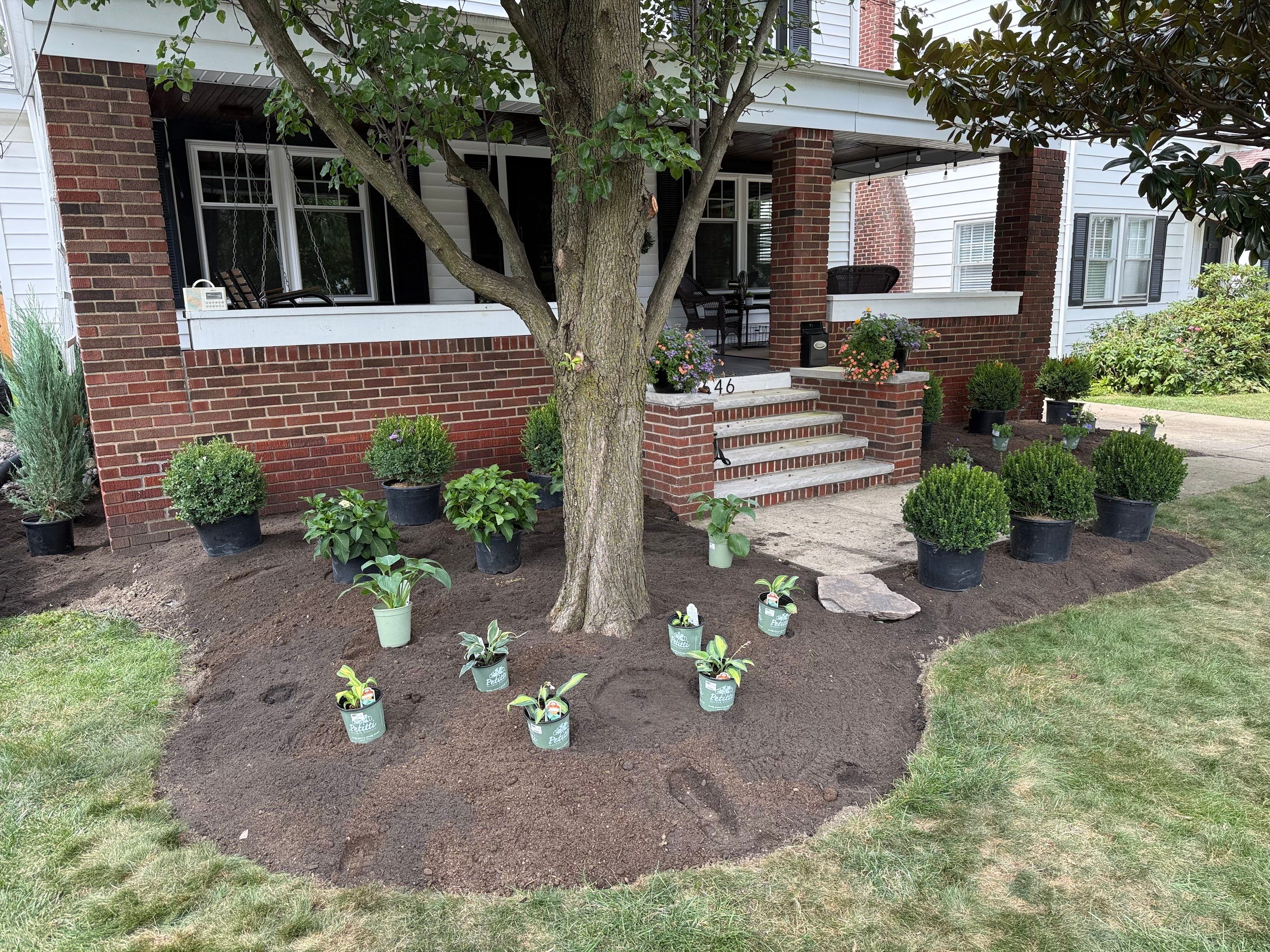 Modern Magnolia Project by Elm Rose Gardens