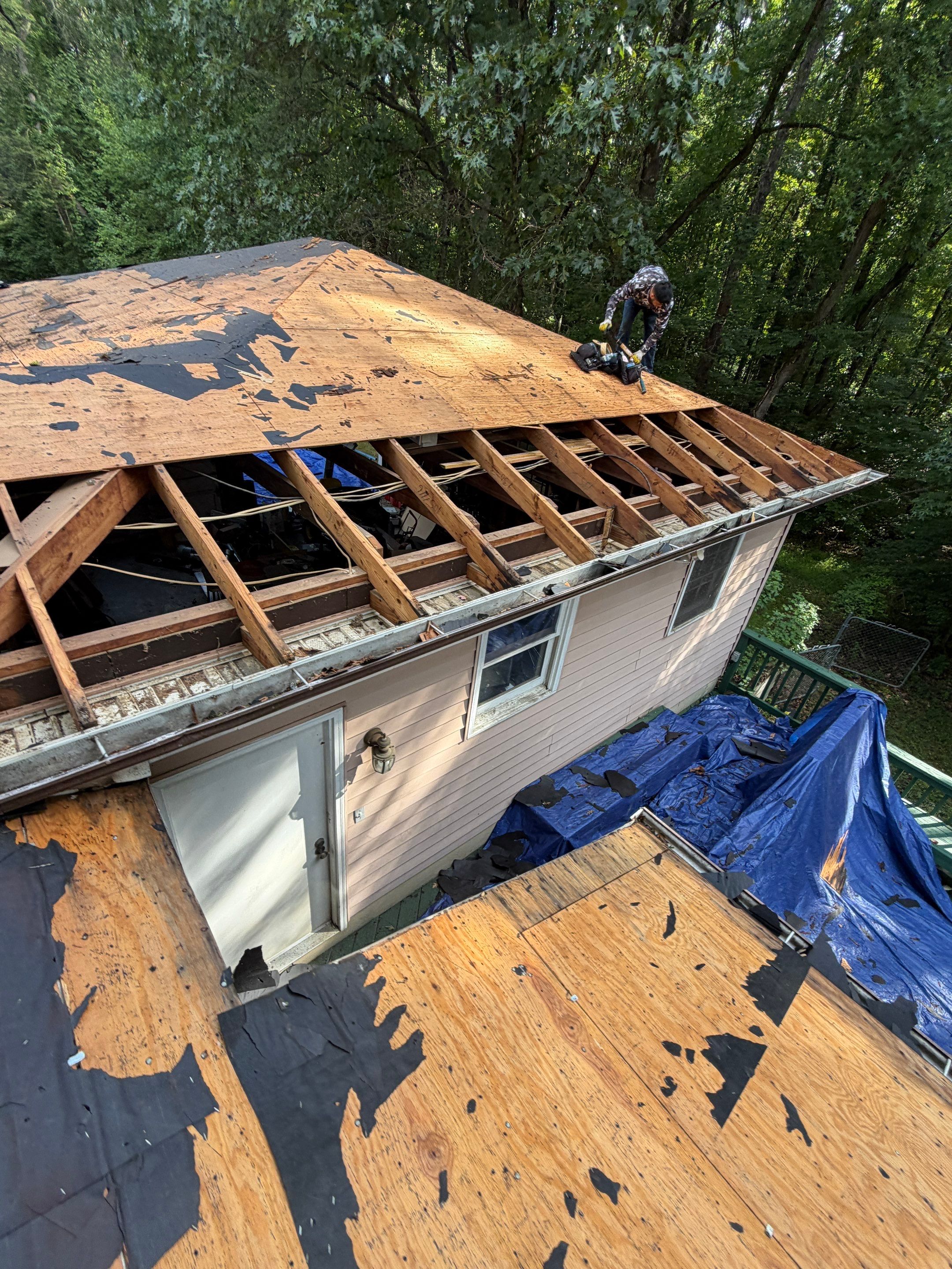 Comprehensive Architectural Shingle Roof Replacement and Skylight Installation in Laurel by First Chesapeake Roofing