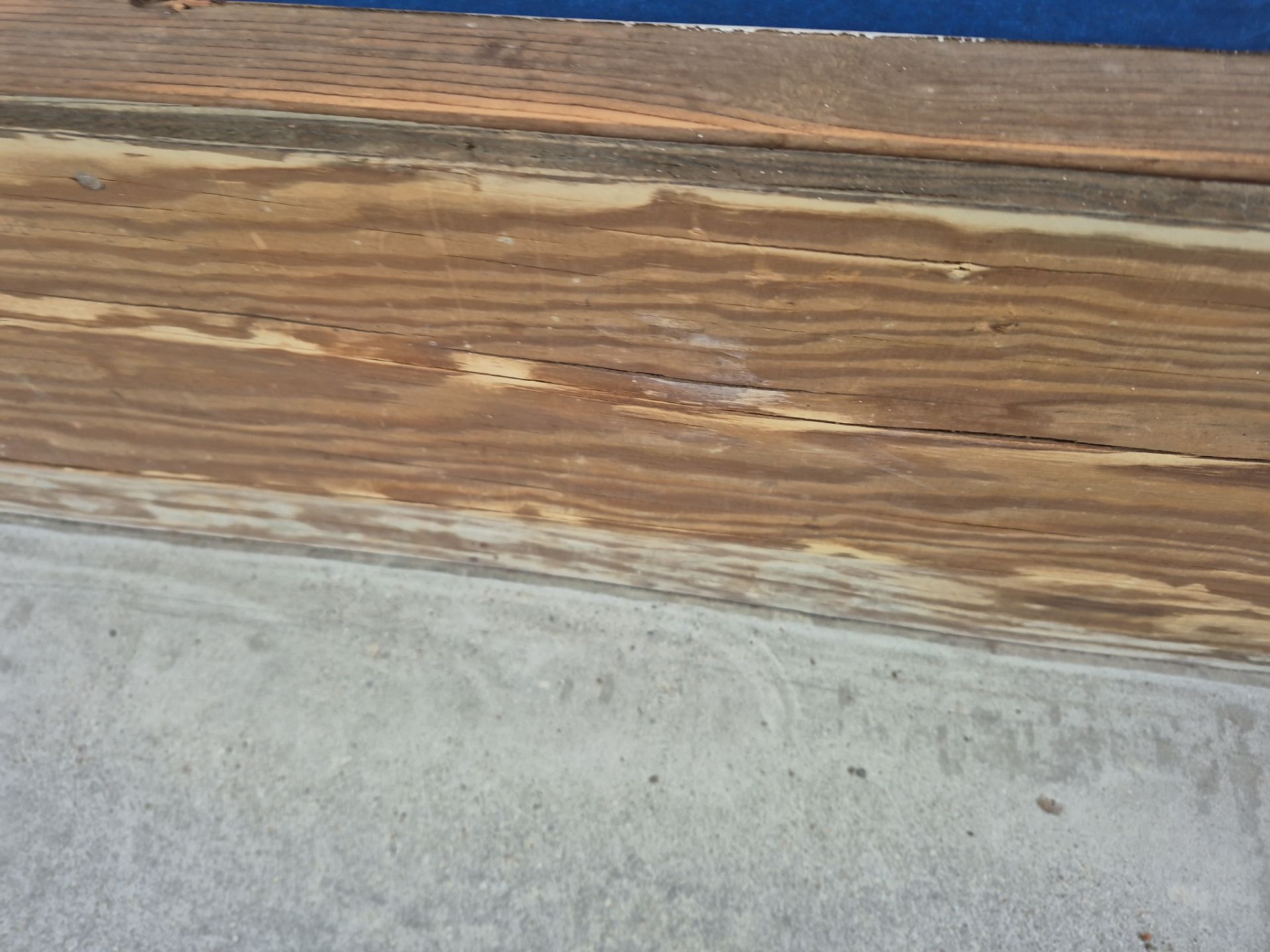 Cabin Fever  by Wise Coatings of Central Michigan