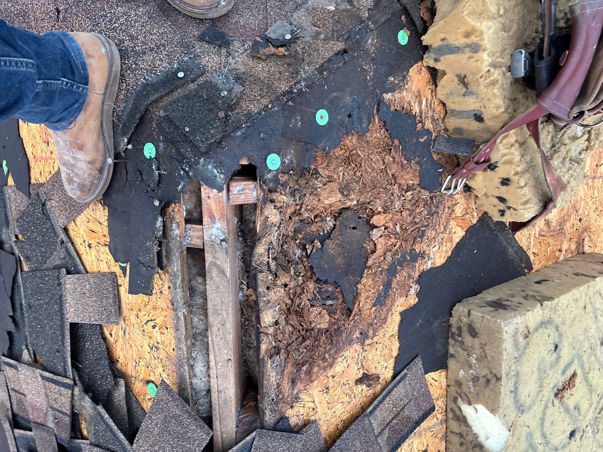 Roof Replacement Spring by Roof Repair Company