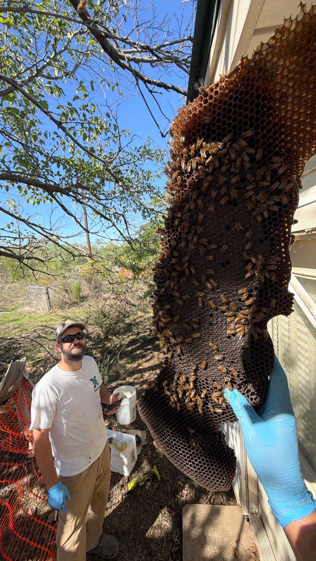 Abandoned House of Bees by Rockwall Honey Bee Company