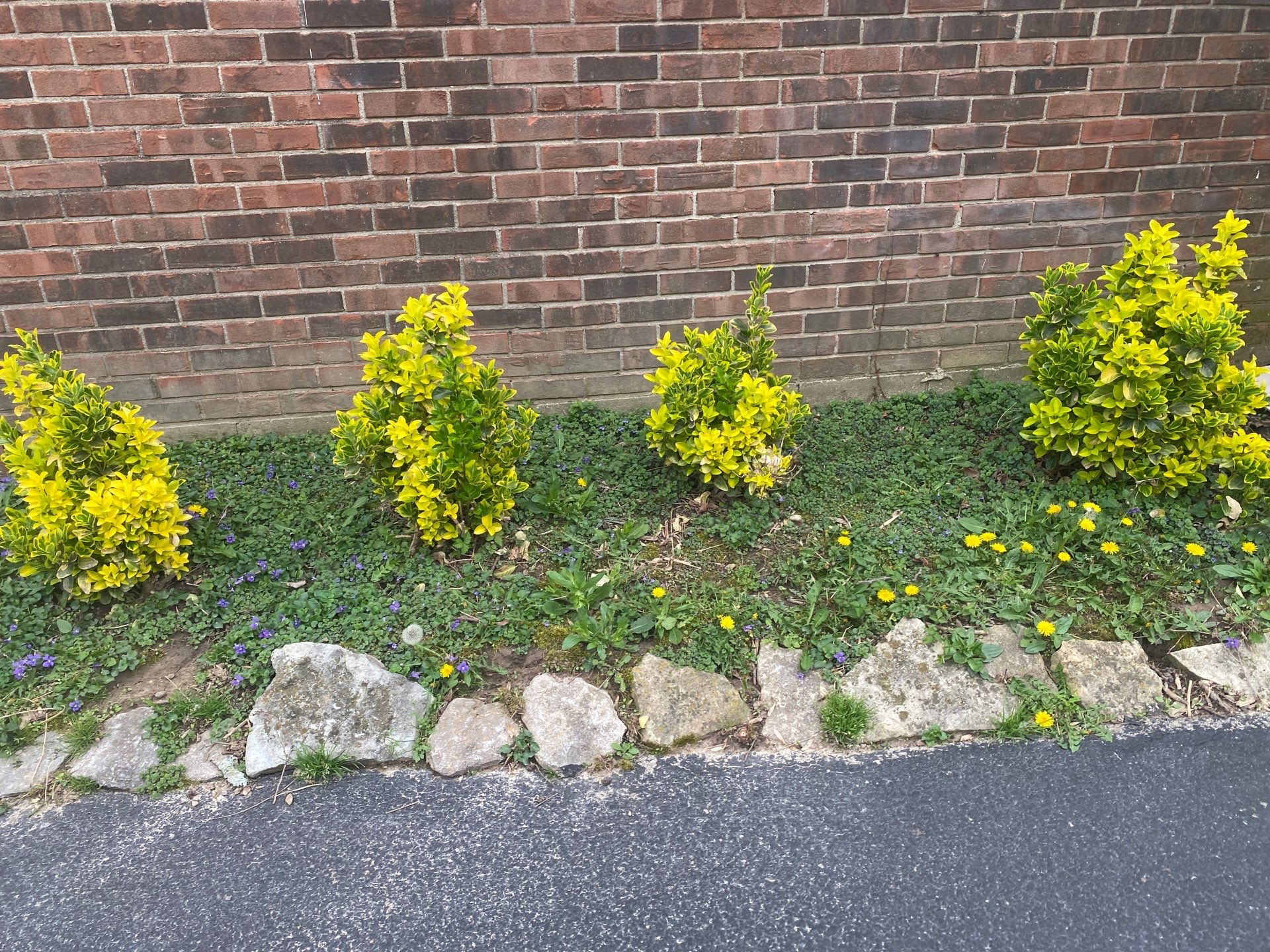 Another Satisfied Customer by Storm Contracting 