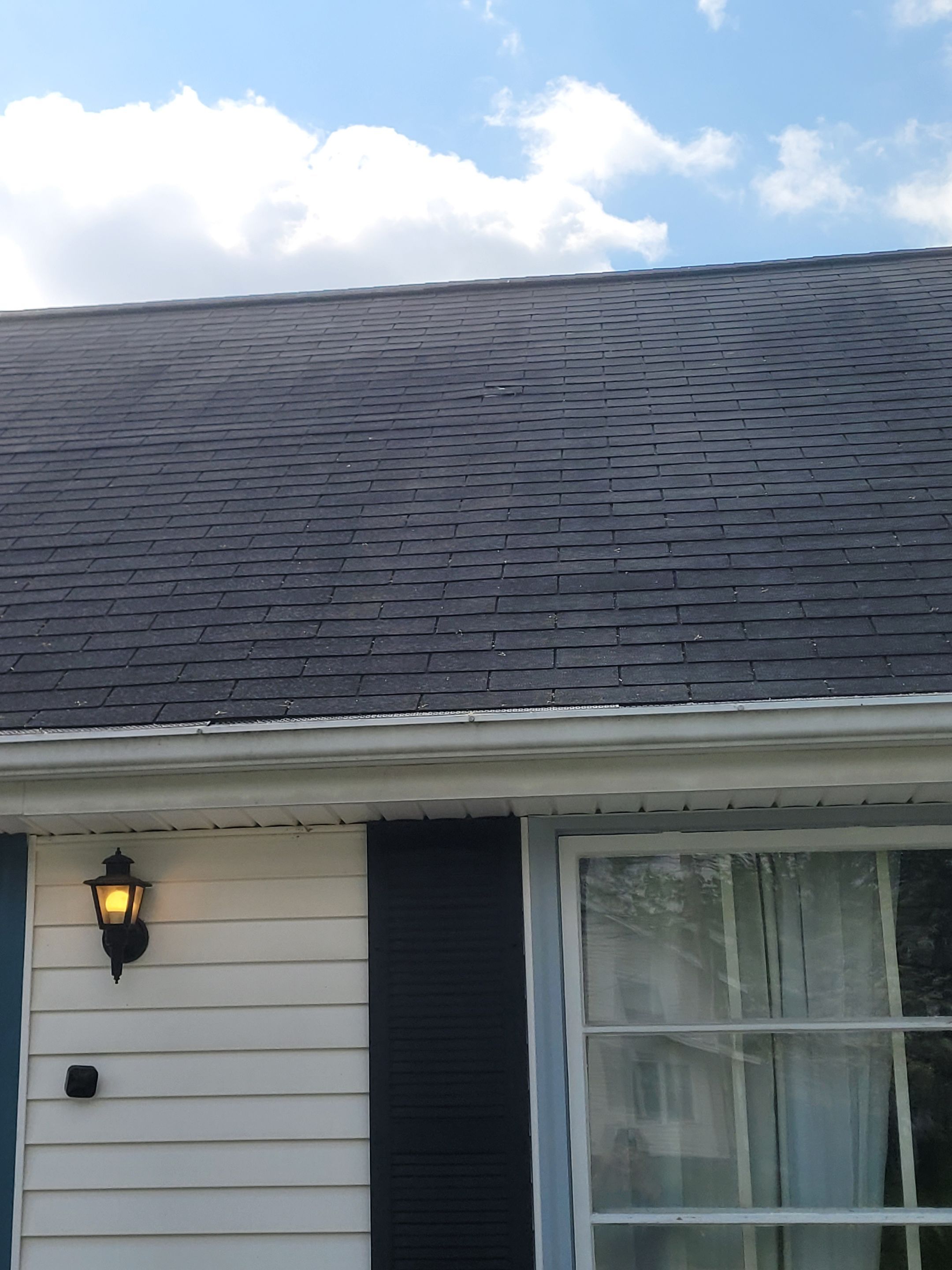 Ashley Green by Silver Leaf Contracting 