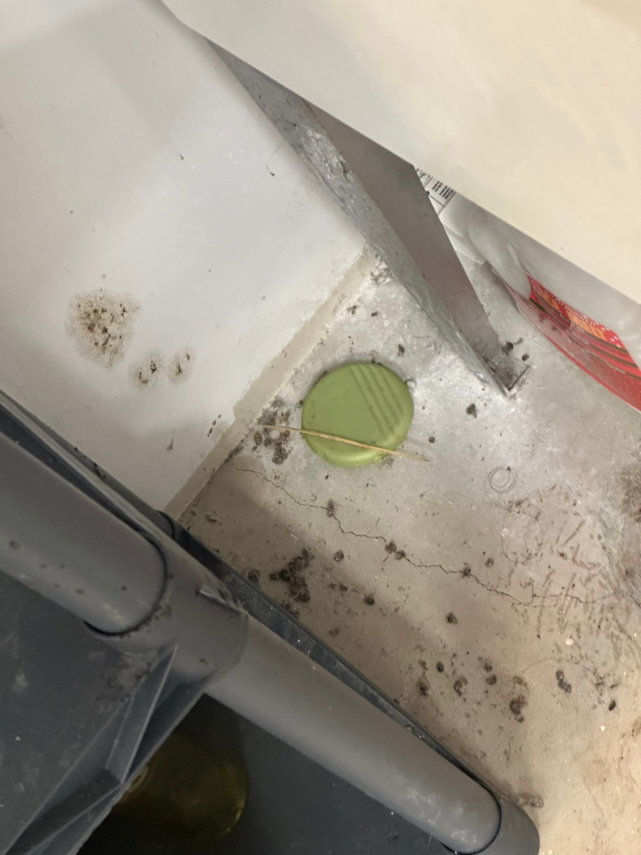 Commercial mold from long term roof leak by BlueRed Restoration