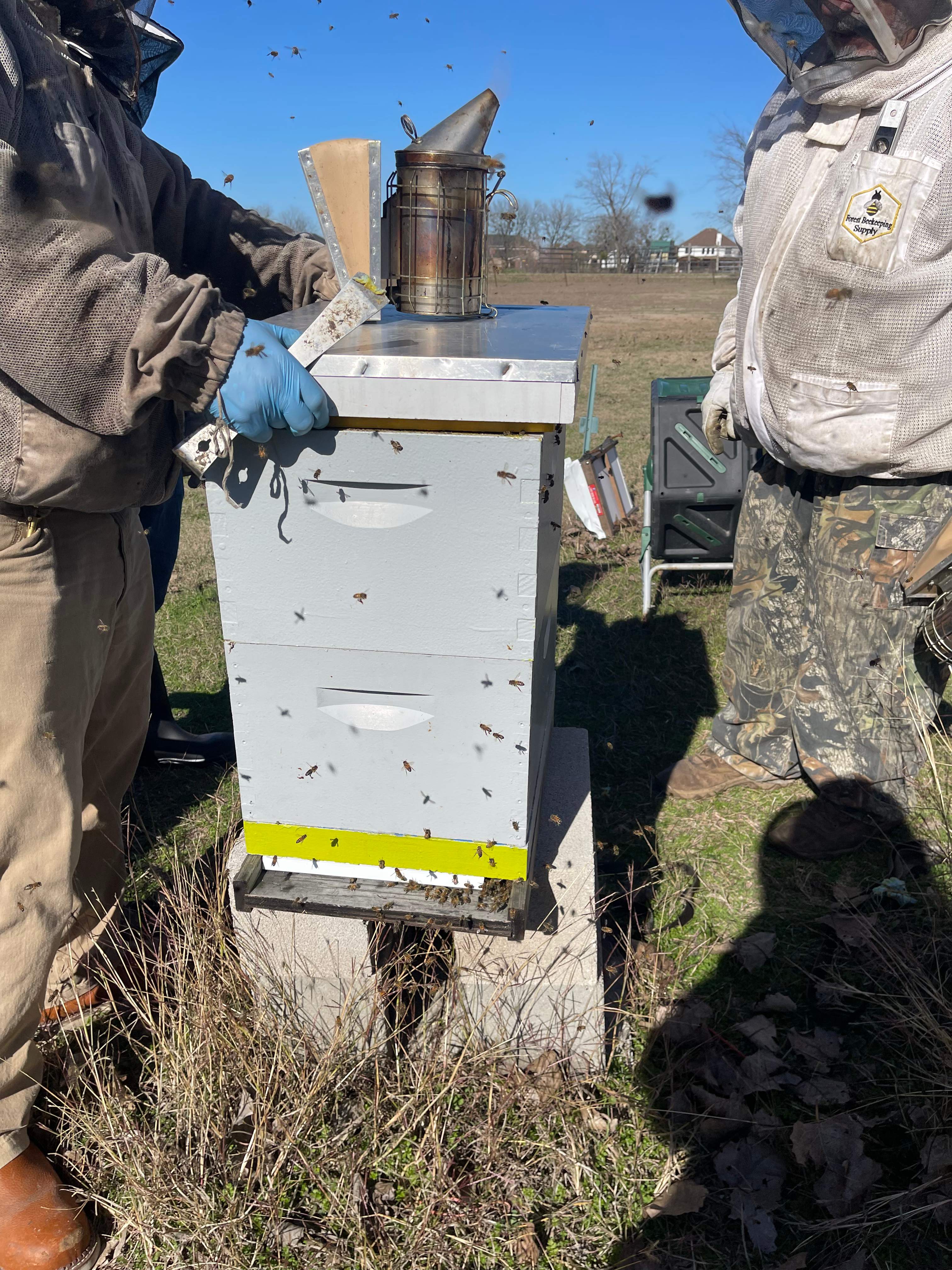 Rockwall Honey Bee Company HQ by Rockwall Honey Bee Company