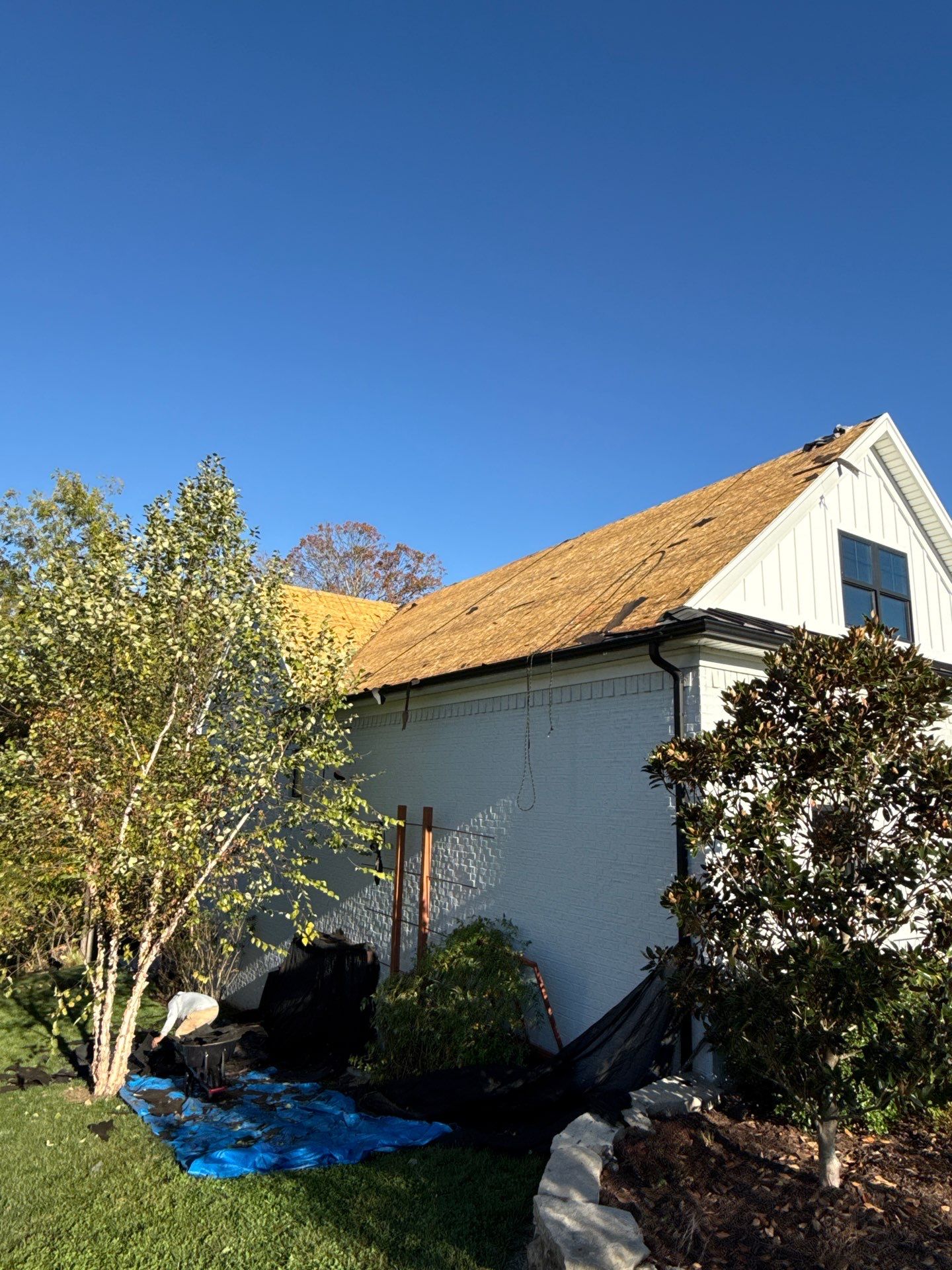 Project in Prospect, KY by GreenForce Restoration