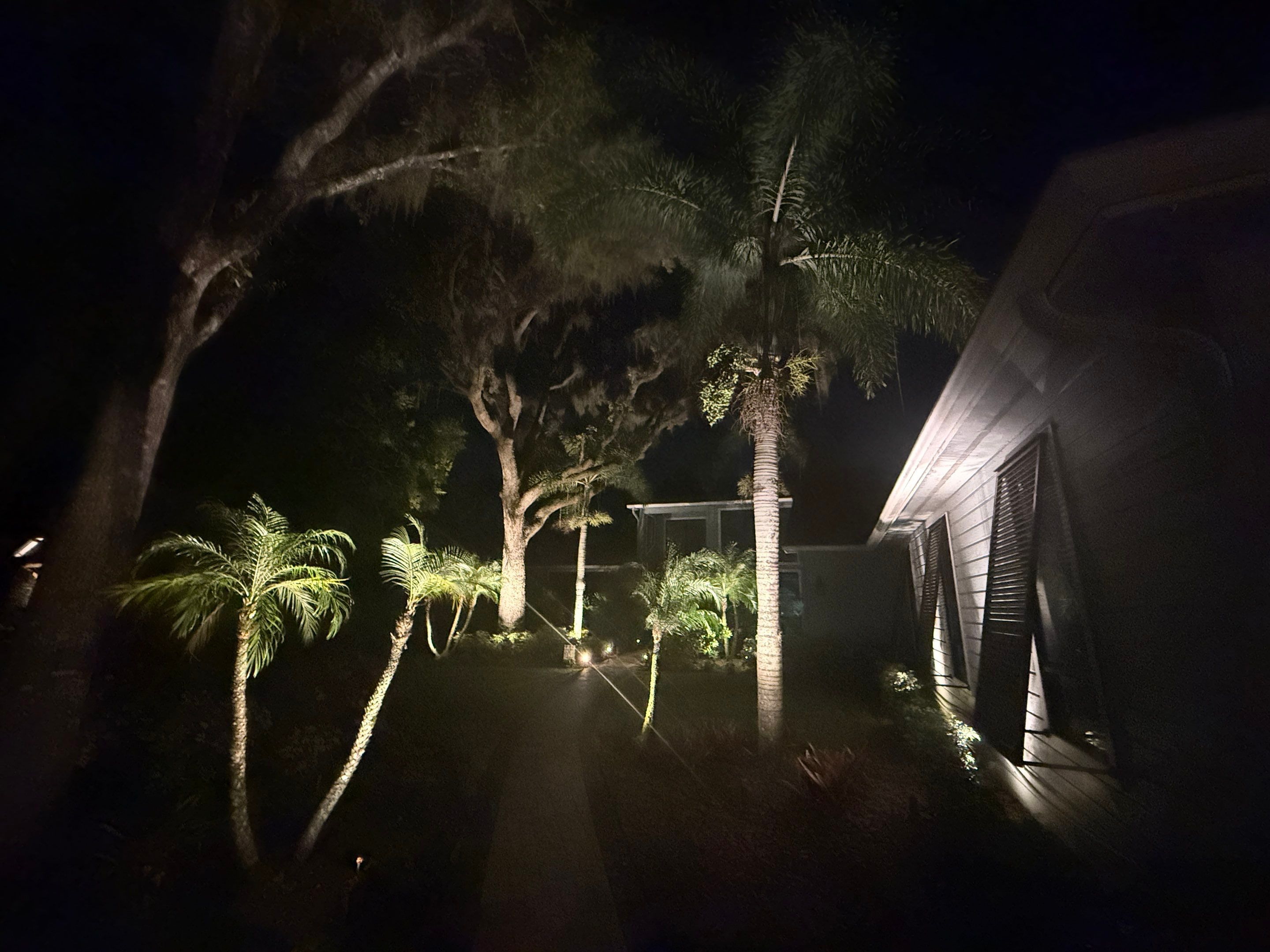 Custom Residential Landscape and Tree Uplighting Project in Odessa by Elegant Accents 