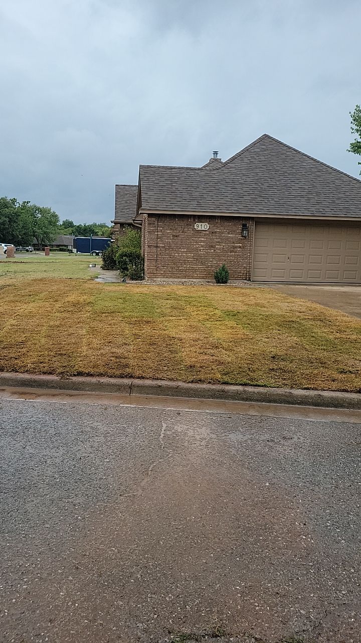 Tree removal , Concrete, Pergola, and sod install  by Clays Services Inc