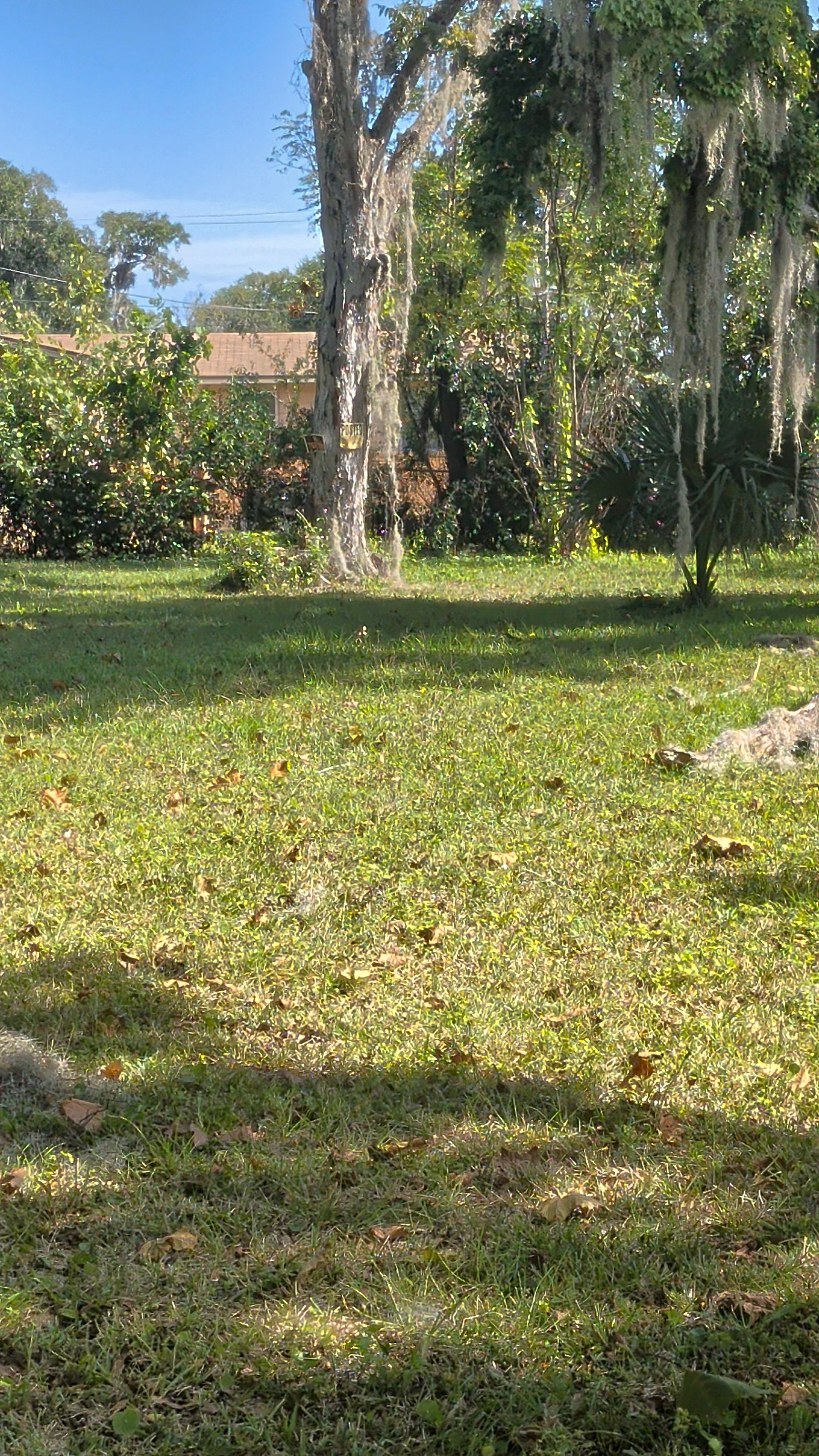 Vacant Lot Cleanup & Ongoing Maintenance — Northside Jacksonville (32219) by Harmoni Home Services