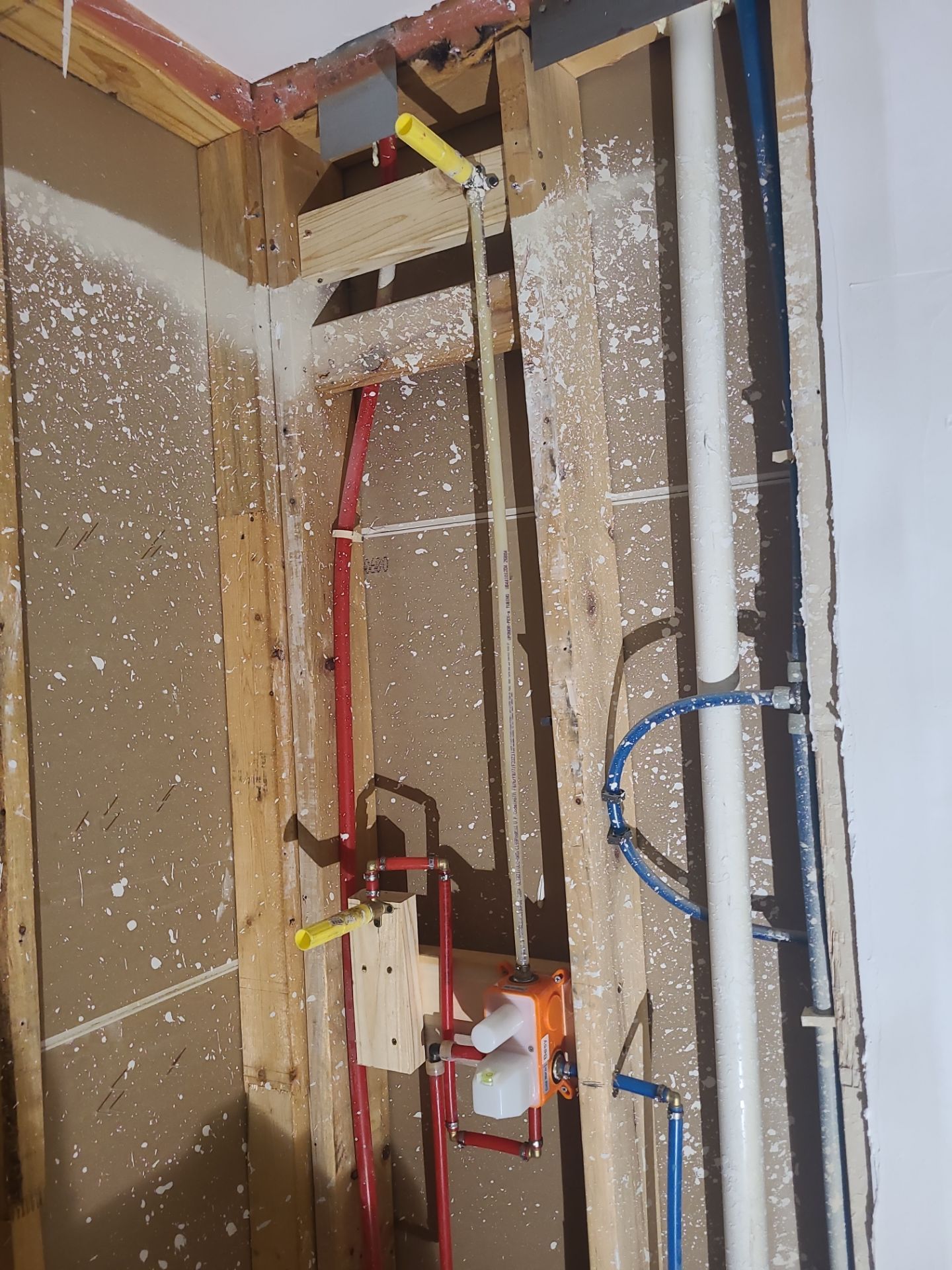 Full House Remodel in Creekside Park by SophAlx LLC