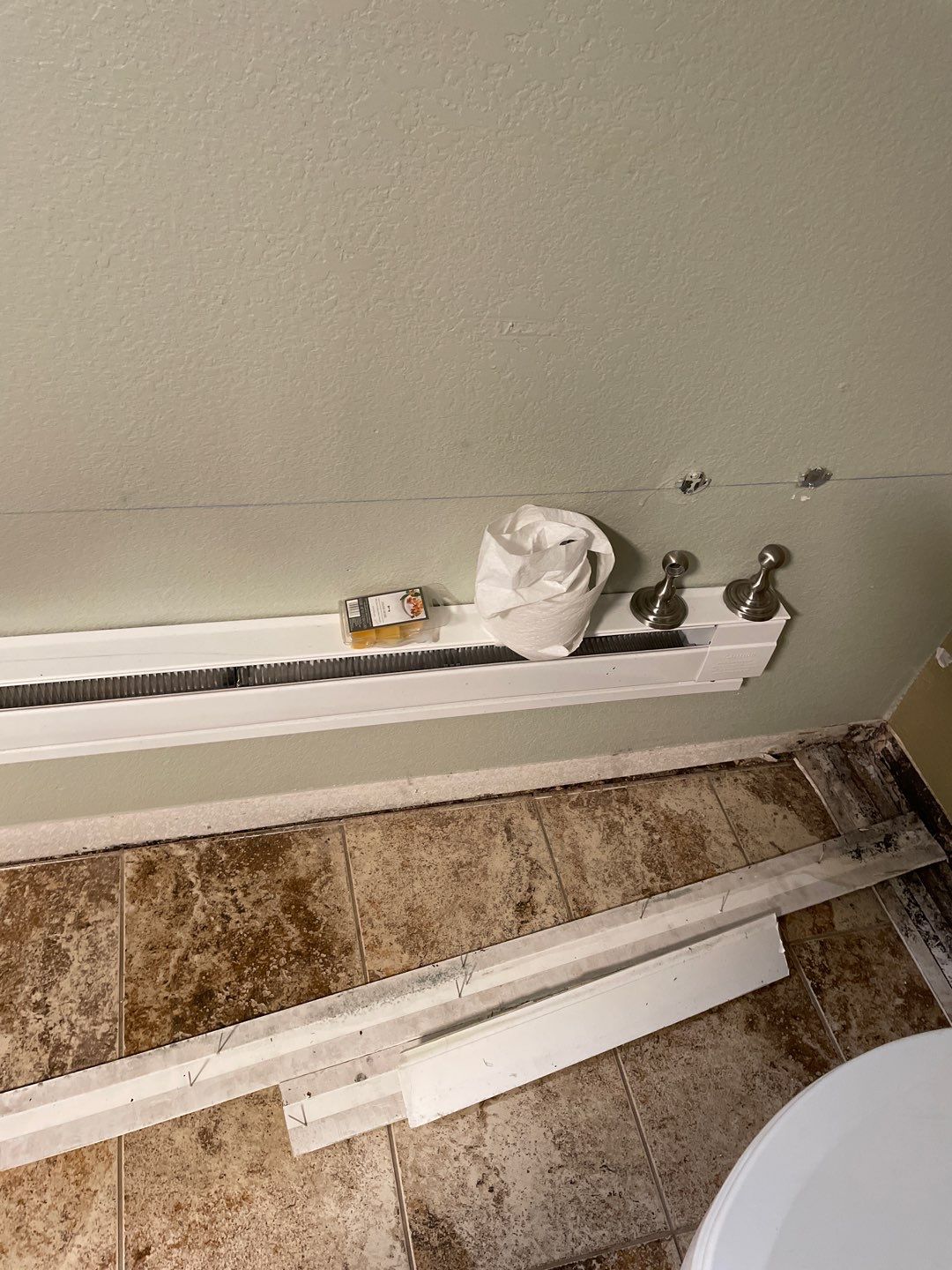 Water Damage and Mold Remediation by Accountable Home Services