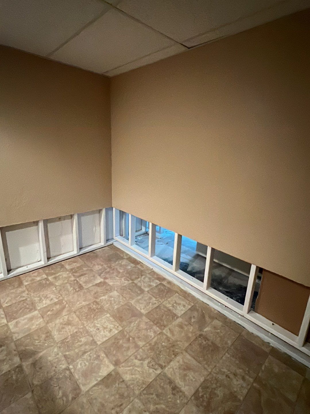 Mold Damage by Accountable Home Services