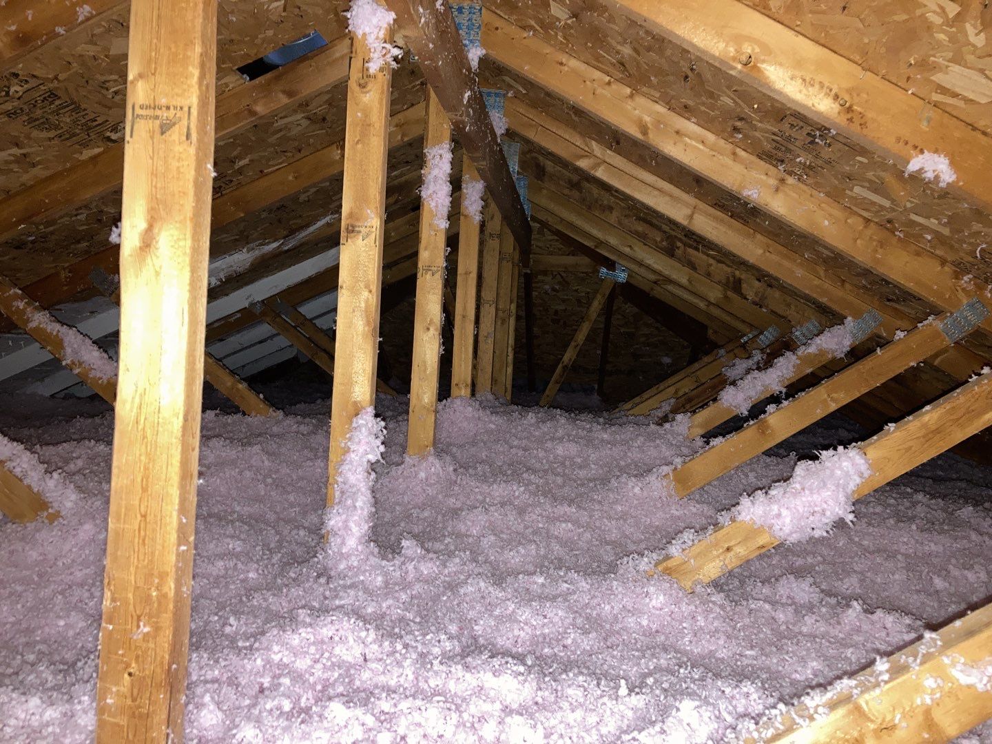 Mold Remediation Cleanup in Attic by Accountable Home Services