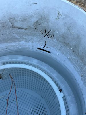 Project in Panama City