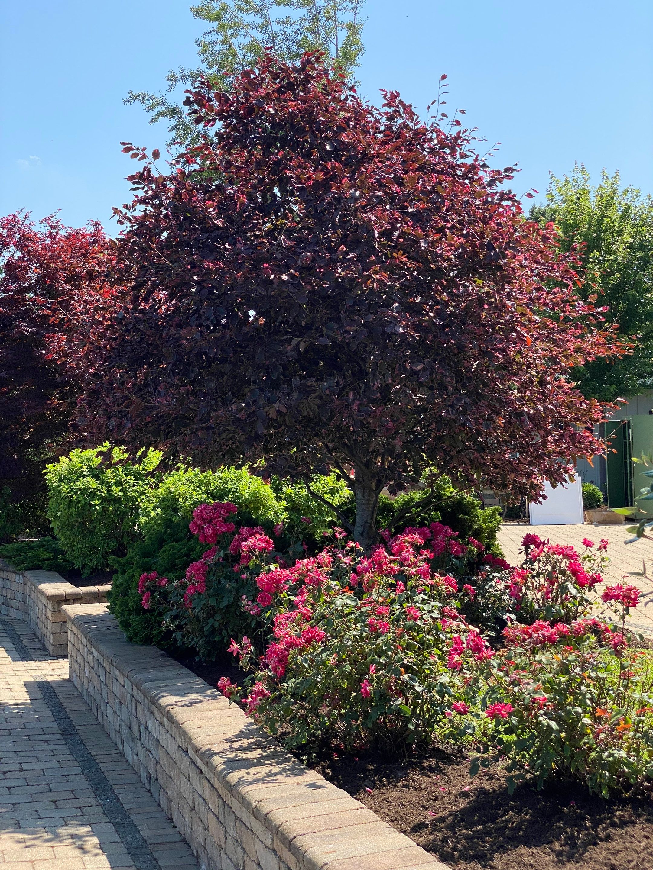 Lake House Maintenance by Elm Rose Gardens