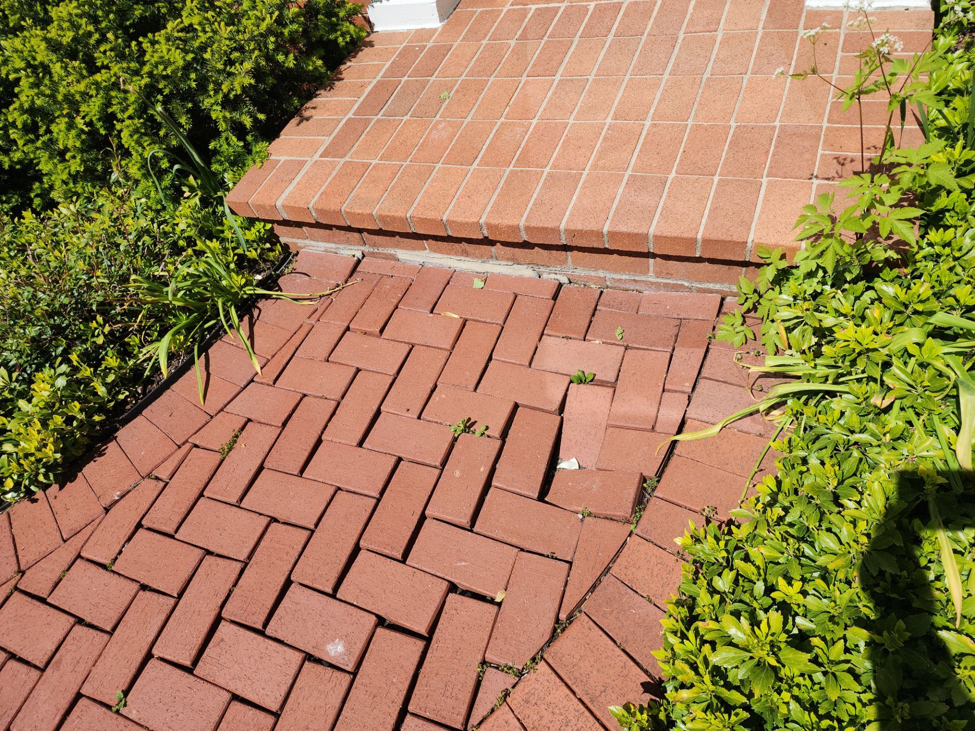 Brick Paver cleaning, sanding, seal by Northern Power Washing LLC.