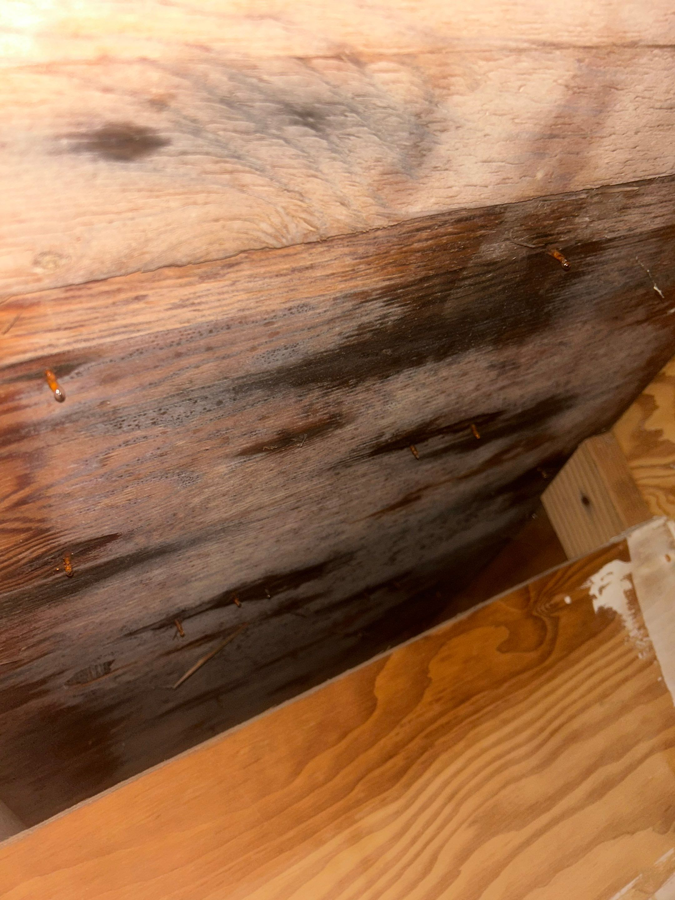 Project in Shoreline by Connolly Construction Company