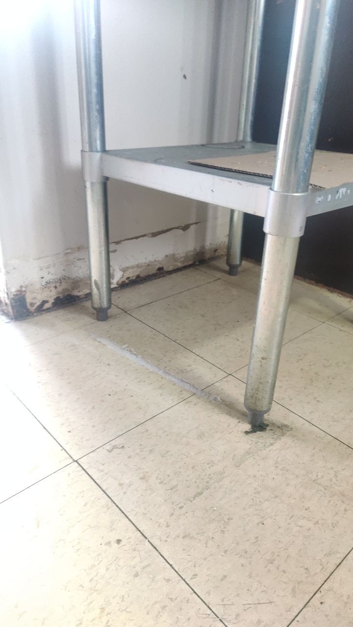 Mold Remediation by Accountable Home Services