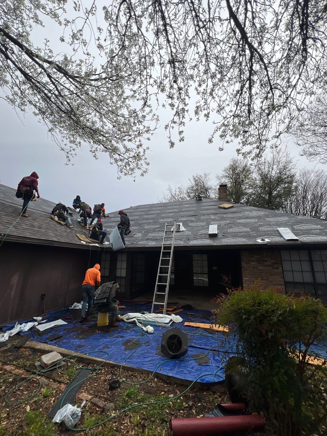 Project in Richardson by Armor Roofing | Exteriors