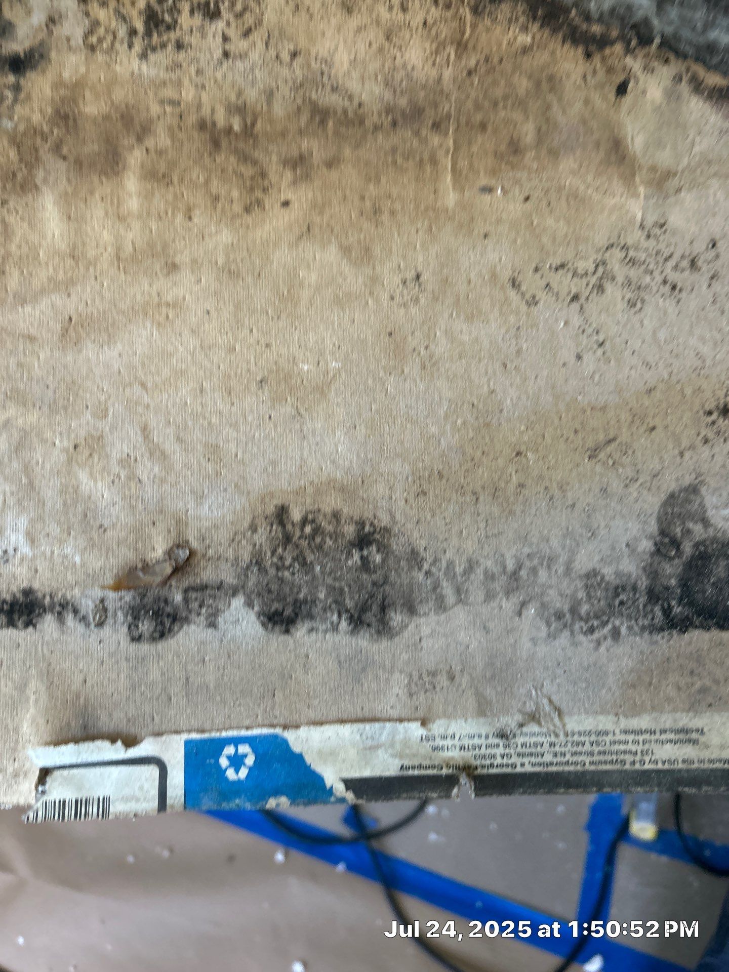 Mold Inspection & Mold Removal In St. Petersburg, FL by Ampm Restoration Services