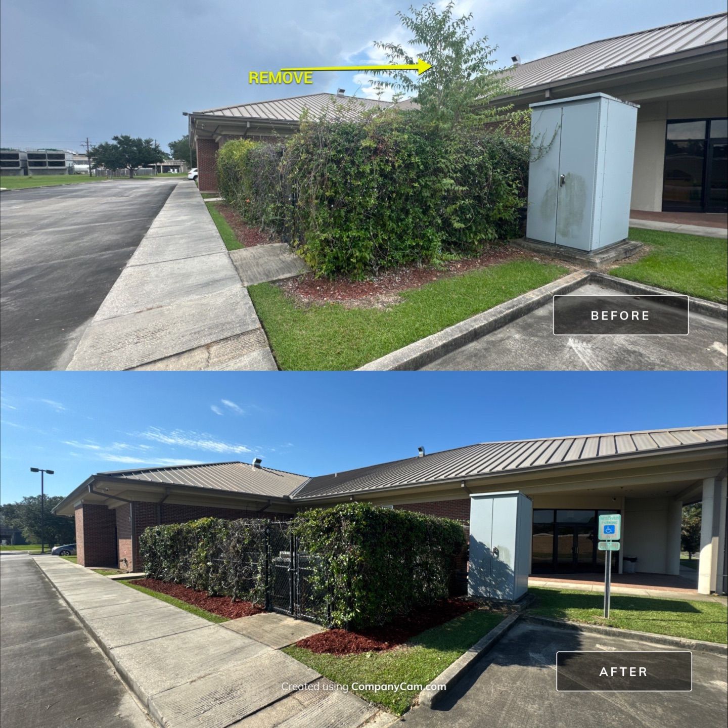 COMMERCIAL: BED CLEAN / MULCH INSTALL by CutScape, LLC.