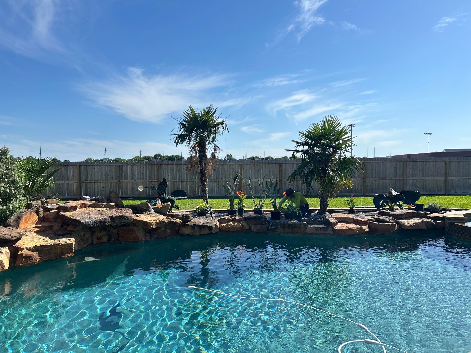 🌿 Larry Caudillo’s Poolside Landscape Revamp by Texas Urban Elements