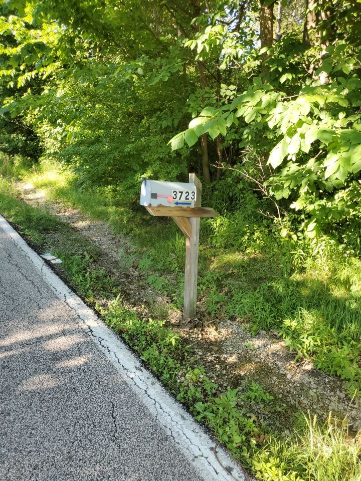 Tree Removal using Tree Removal by Mike Jones & Sons Tree Service LLC 