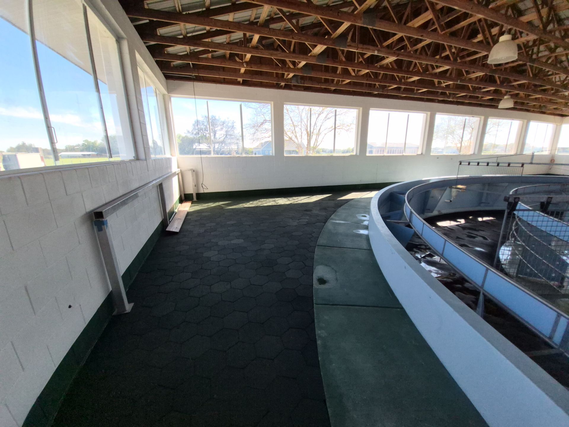 Horse Walker Cleaning Project by Infinite Exteriors LLC