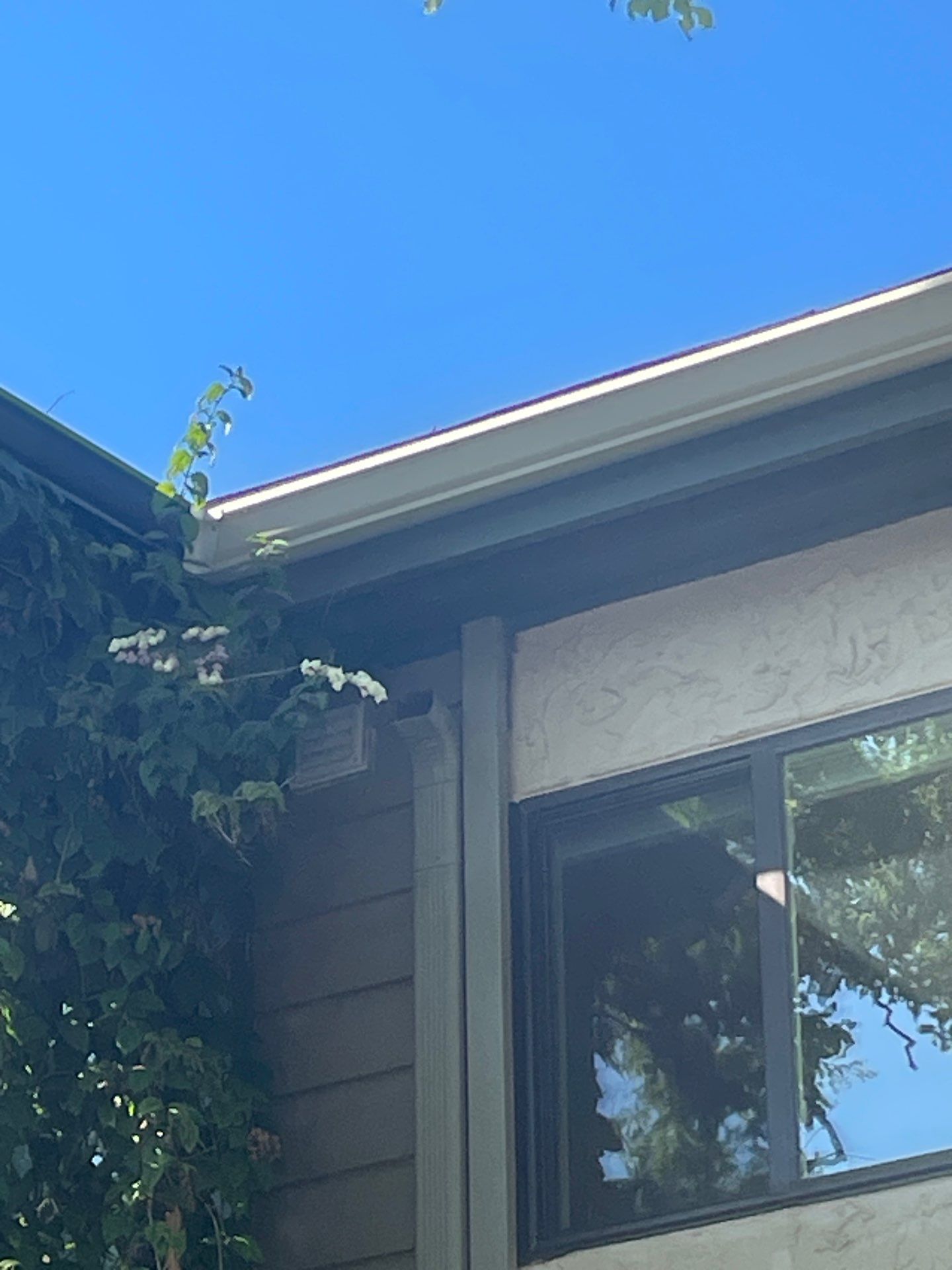 White Gutters Repair and Installation in Sarasota FL by Gutter Professors