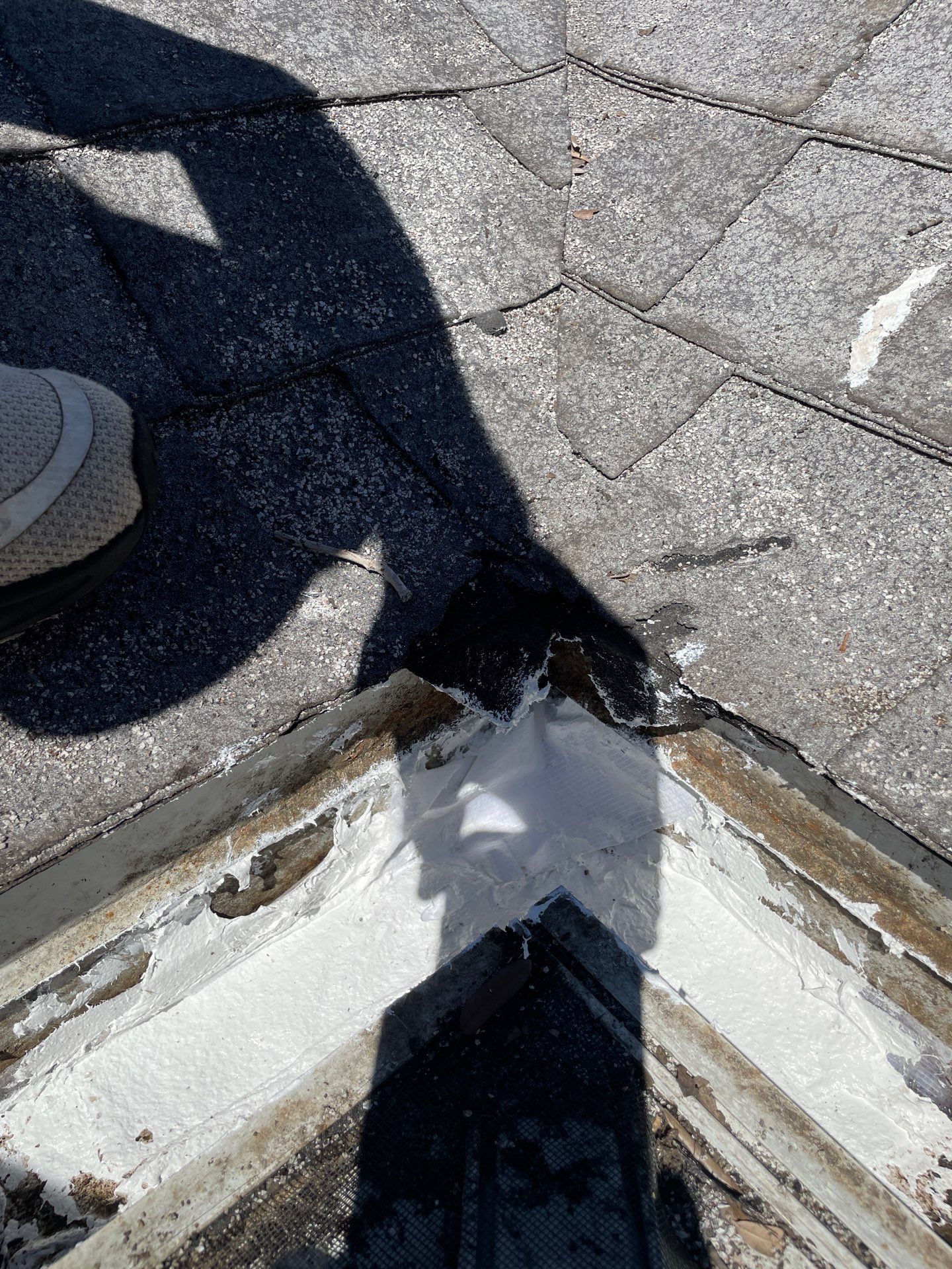 Gutter Cleaning & Maintenance in Sarasota FL by Gutter Professor by Gutter Professors
