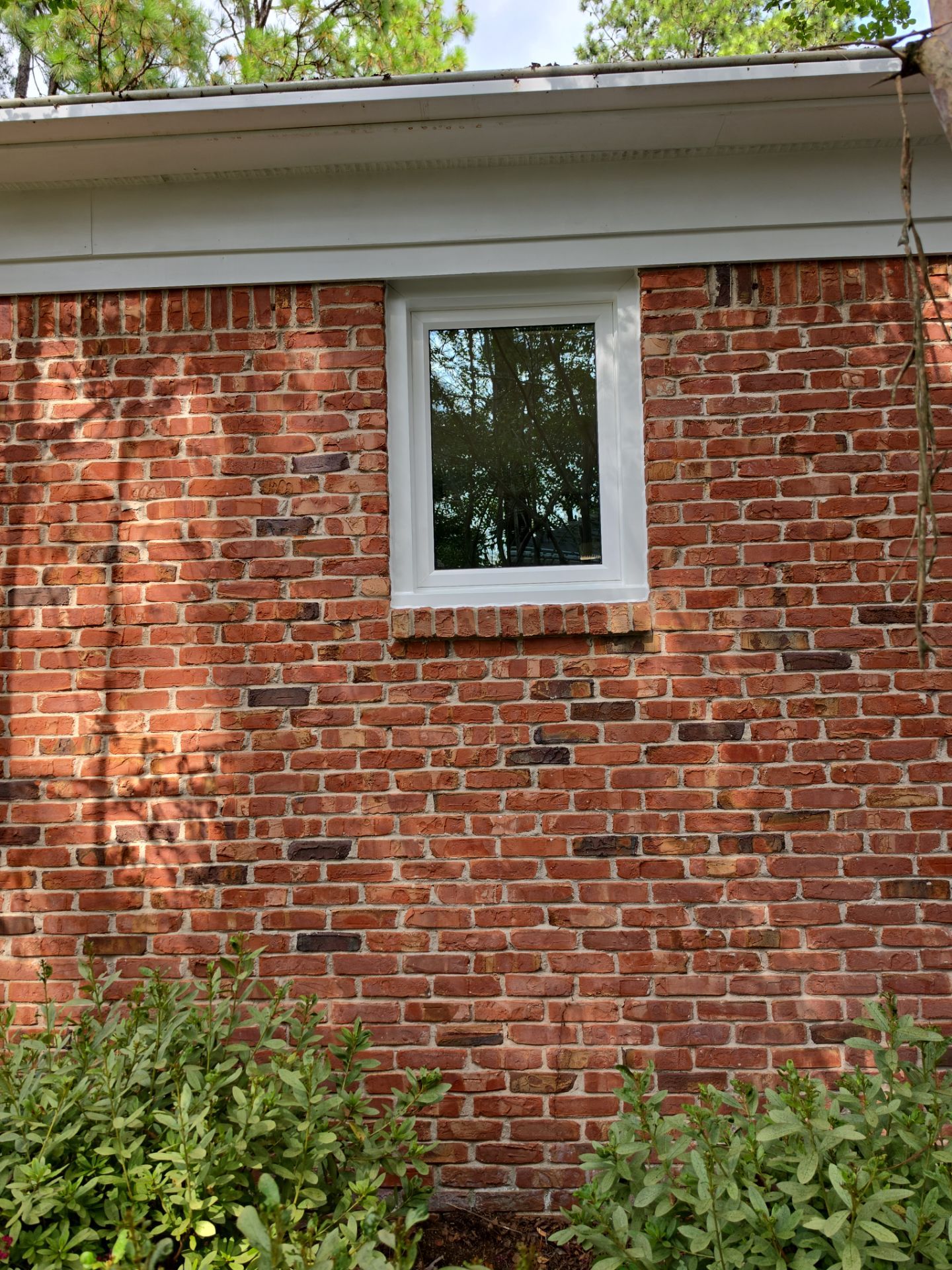 Ackerman Project in Vestavia Hills by The Window Source