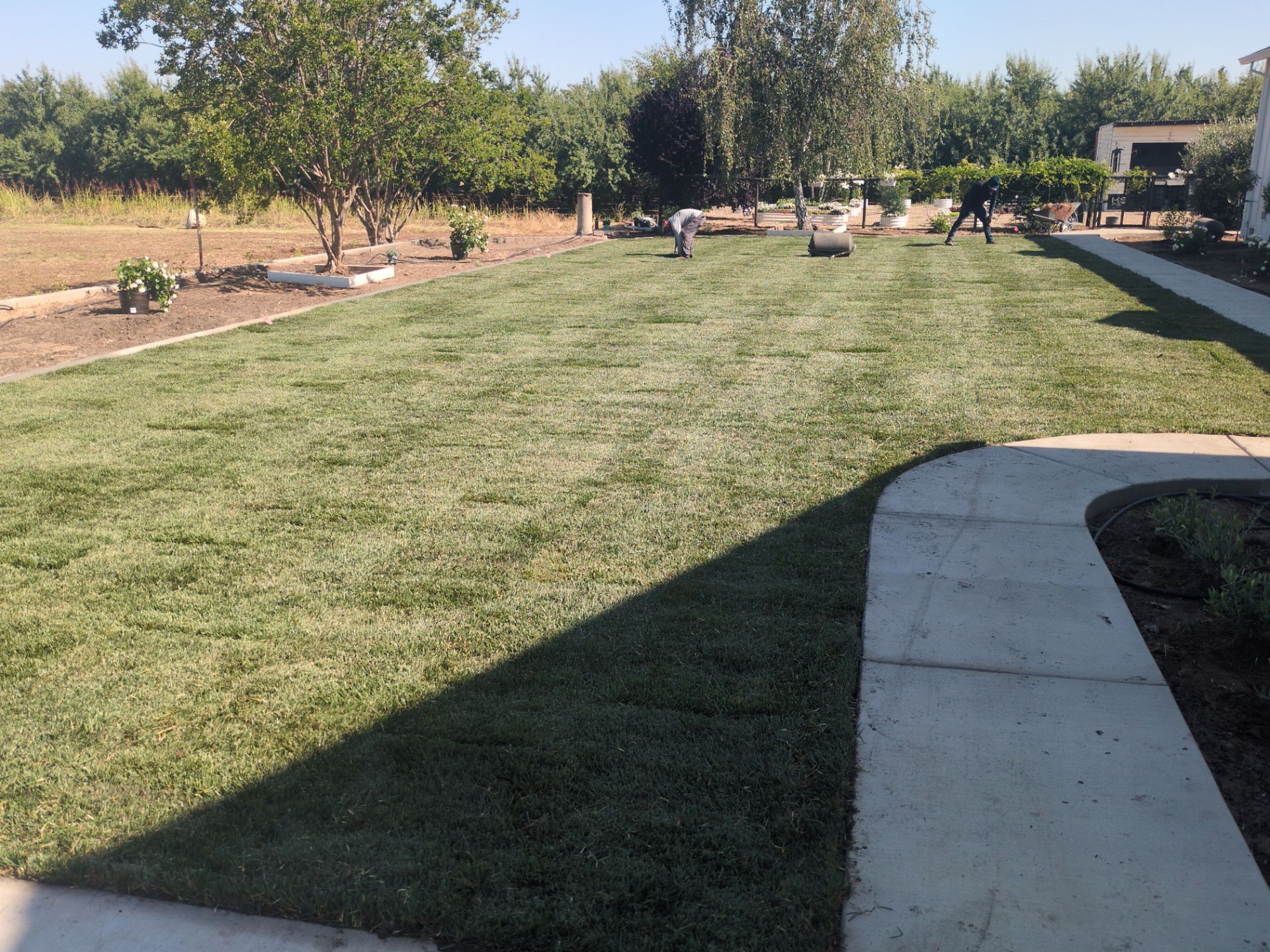 Project in Escalon by A - G Sod Farms