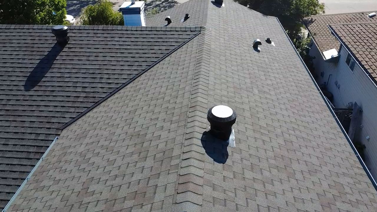 Jasper on Signature Series by 2thetop Roofing