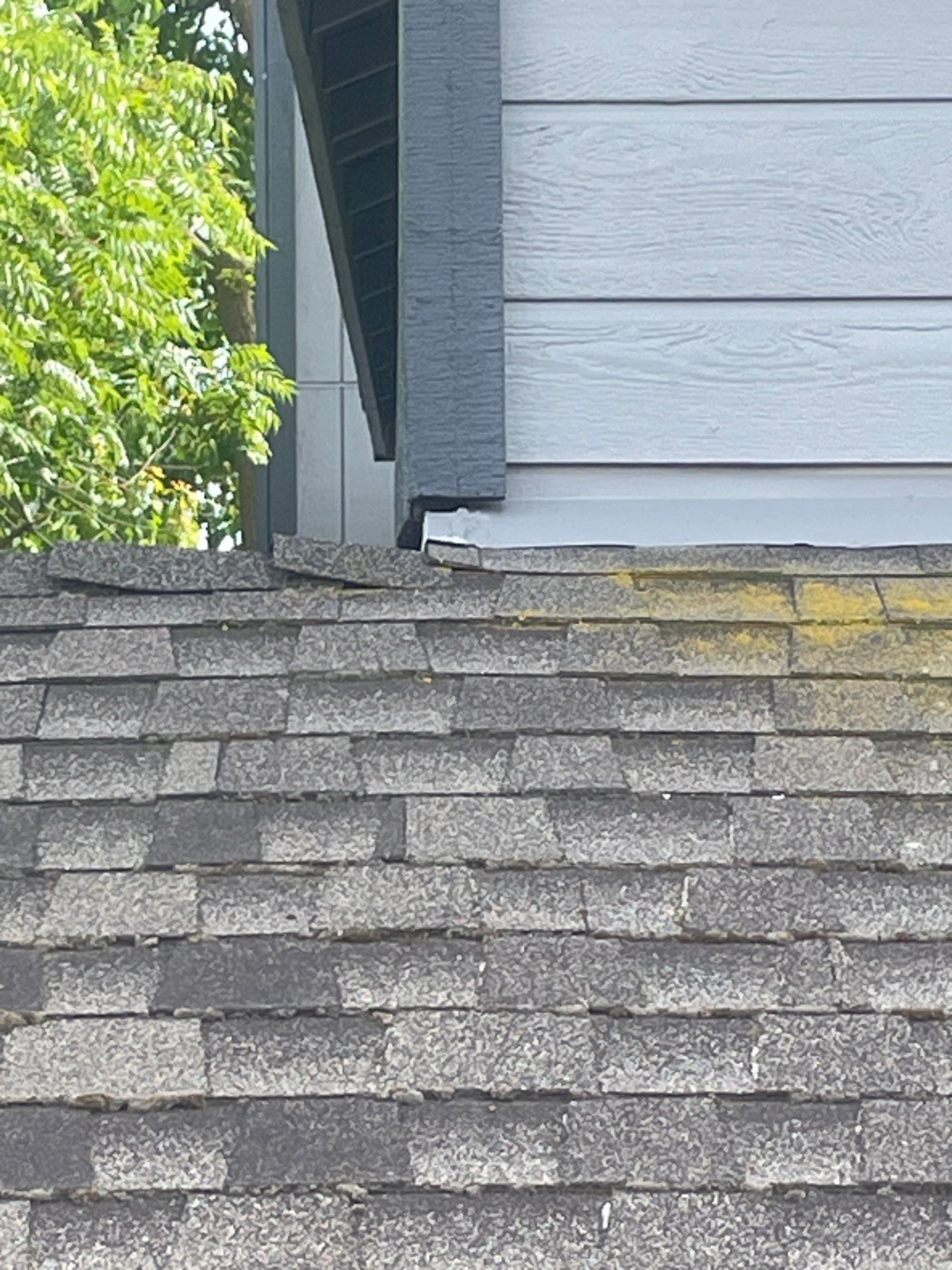 Roof Rejuvenation using Roof Maxx Treatment by Roof Maxx of Folsom