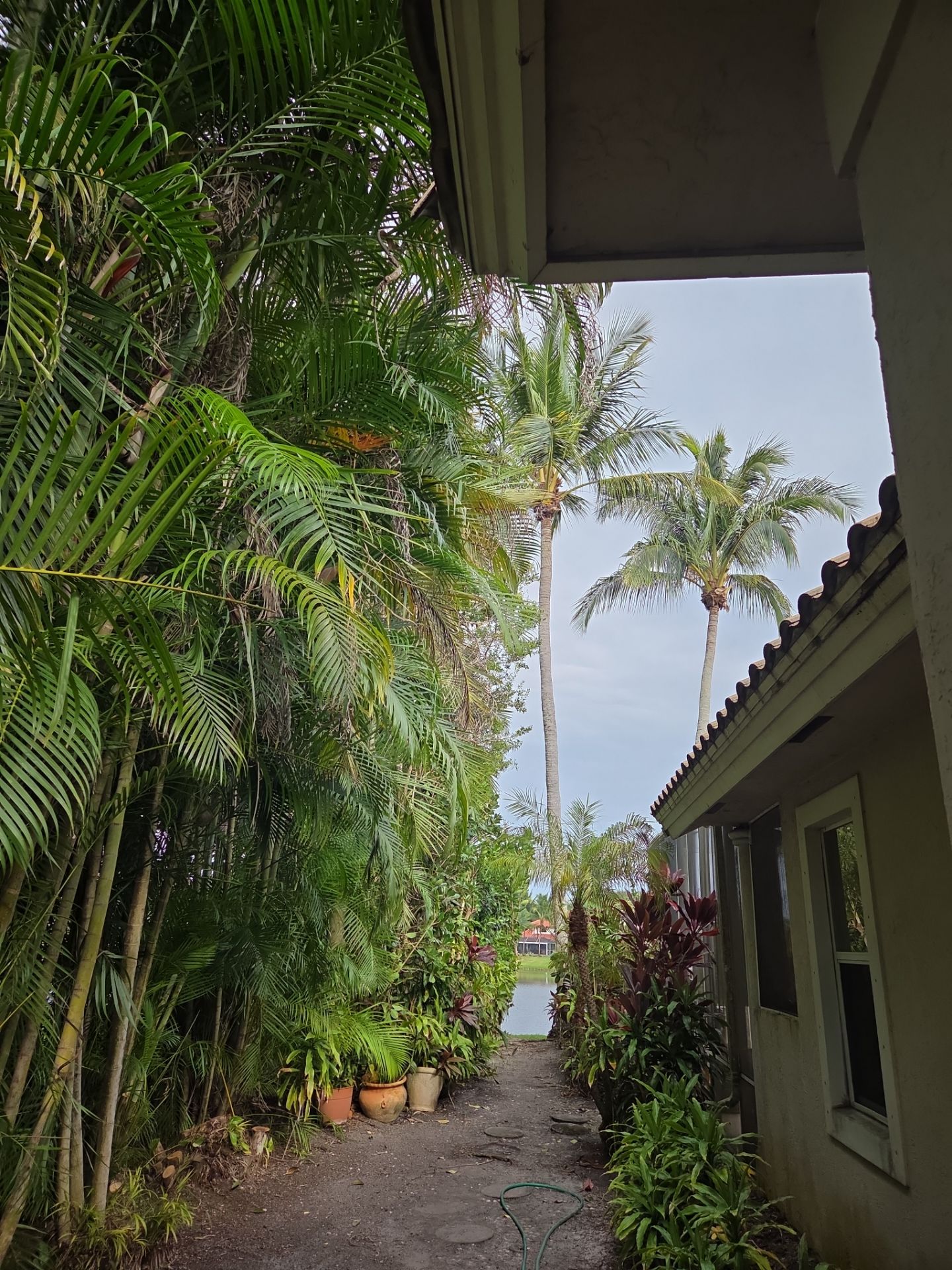 ✨ “Sweep, Spruce & Scoot!” ✨ by Alpha Zeta Enterprises Inc