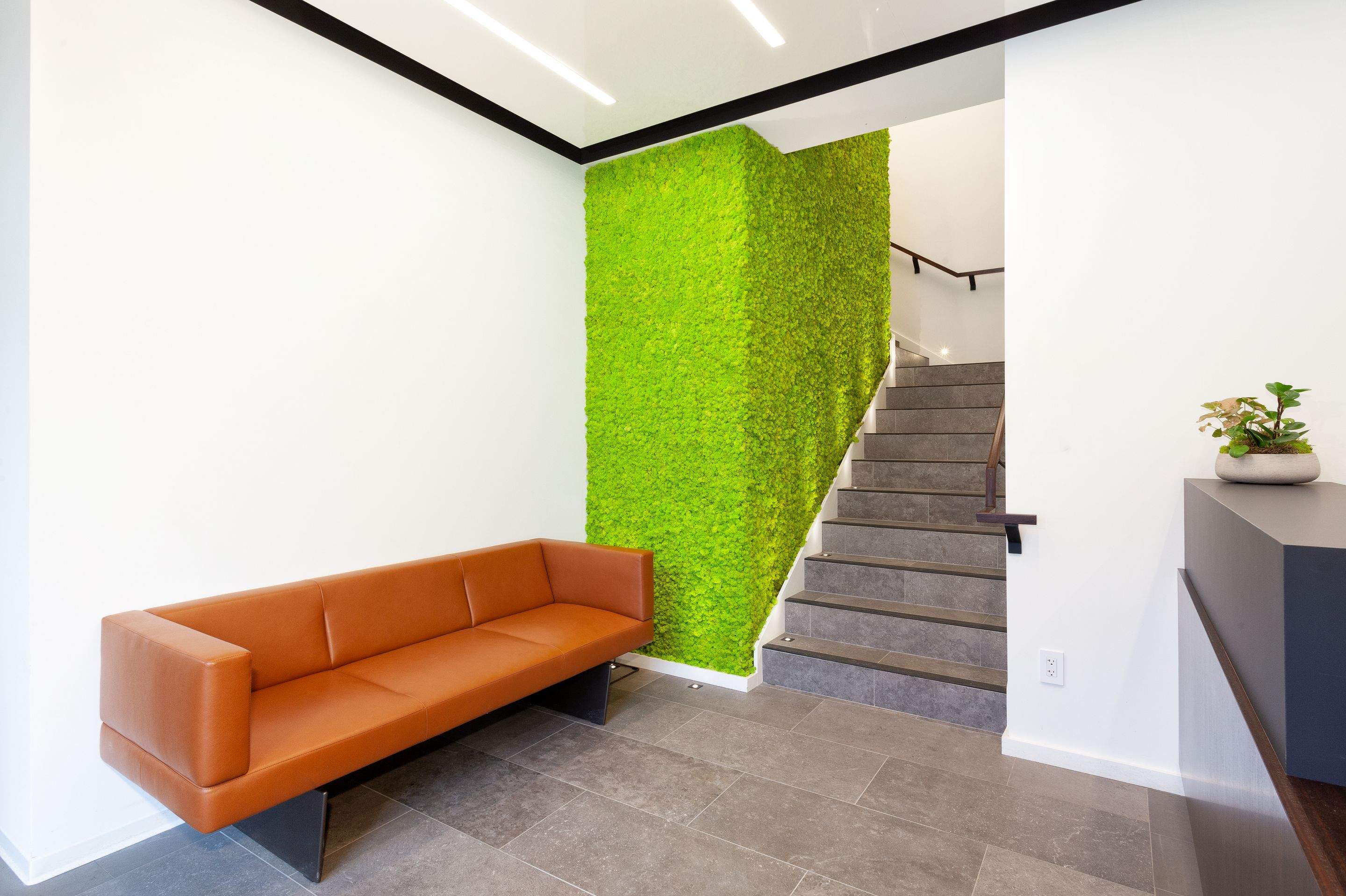 GFL Office Renovation – Commercial Interior Painting (Squamish) by Top Coats Professional Painting