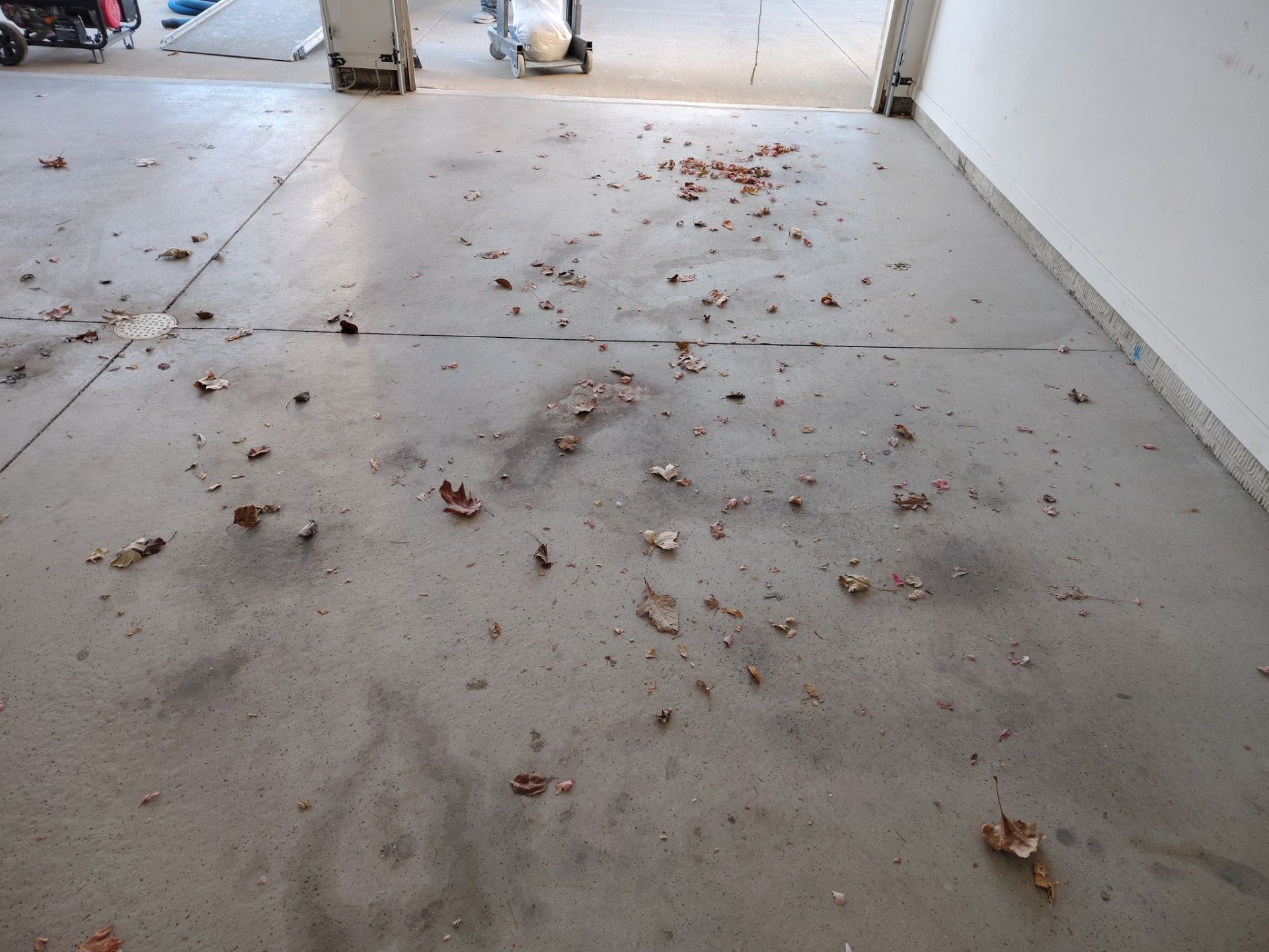 Make 2026 the Year You Add Value to Your Home! by Revival Concrete Coatings