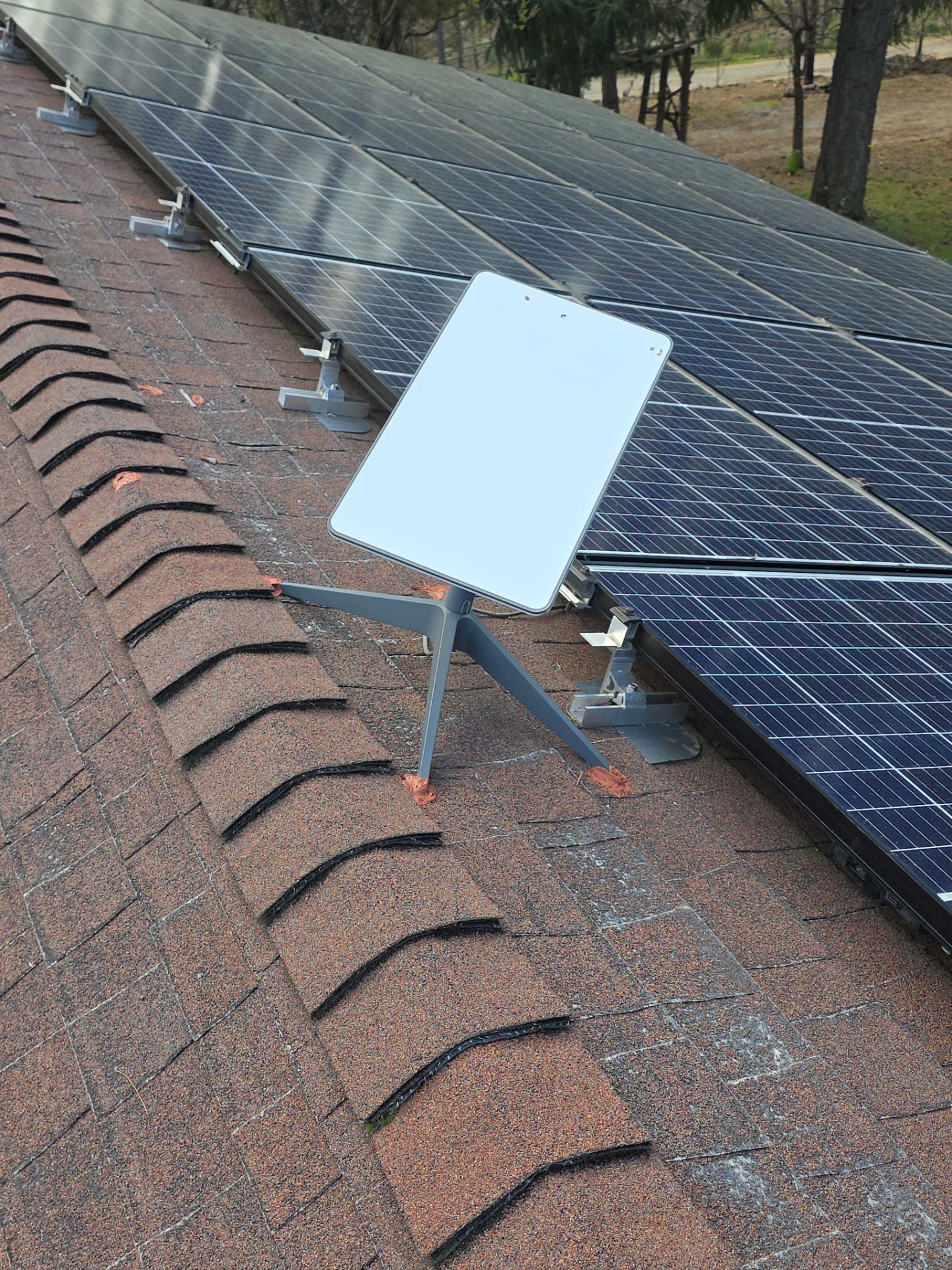 Before and After Photos using Roof Maxx Treatment by Roof Maxx of Folsom