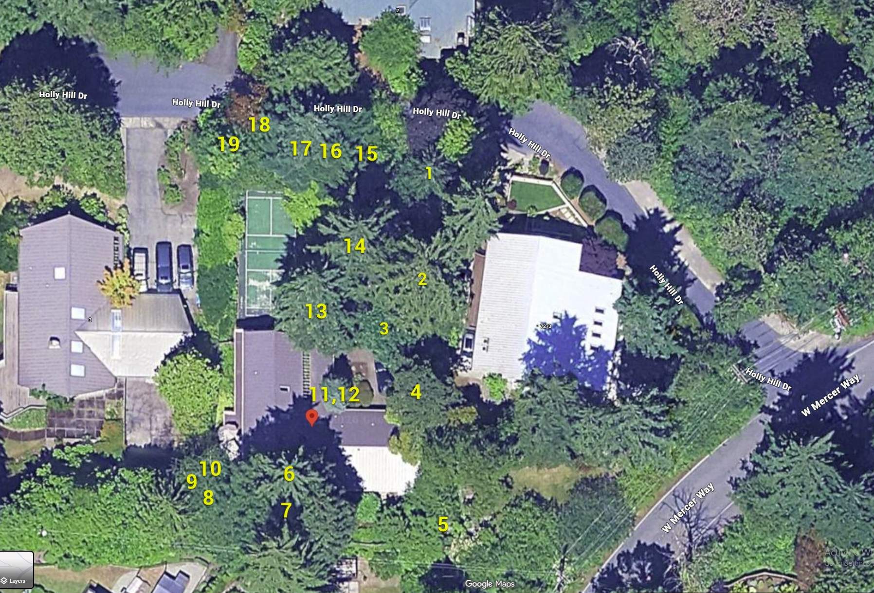 Hazardous Douglas-Fir Tree Removal and Tree Risk Assessment in Mercer Island, WA by Sound Tree Care LLC