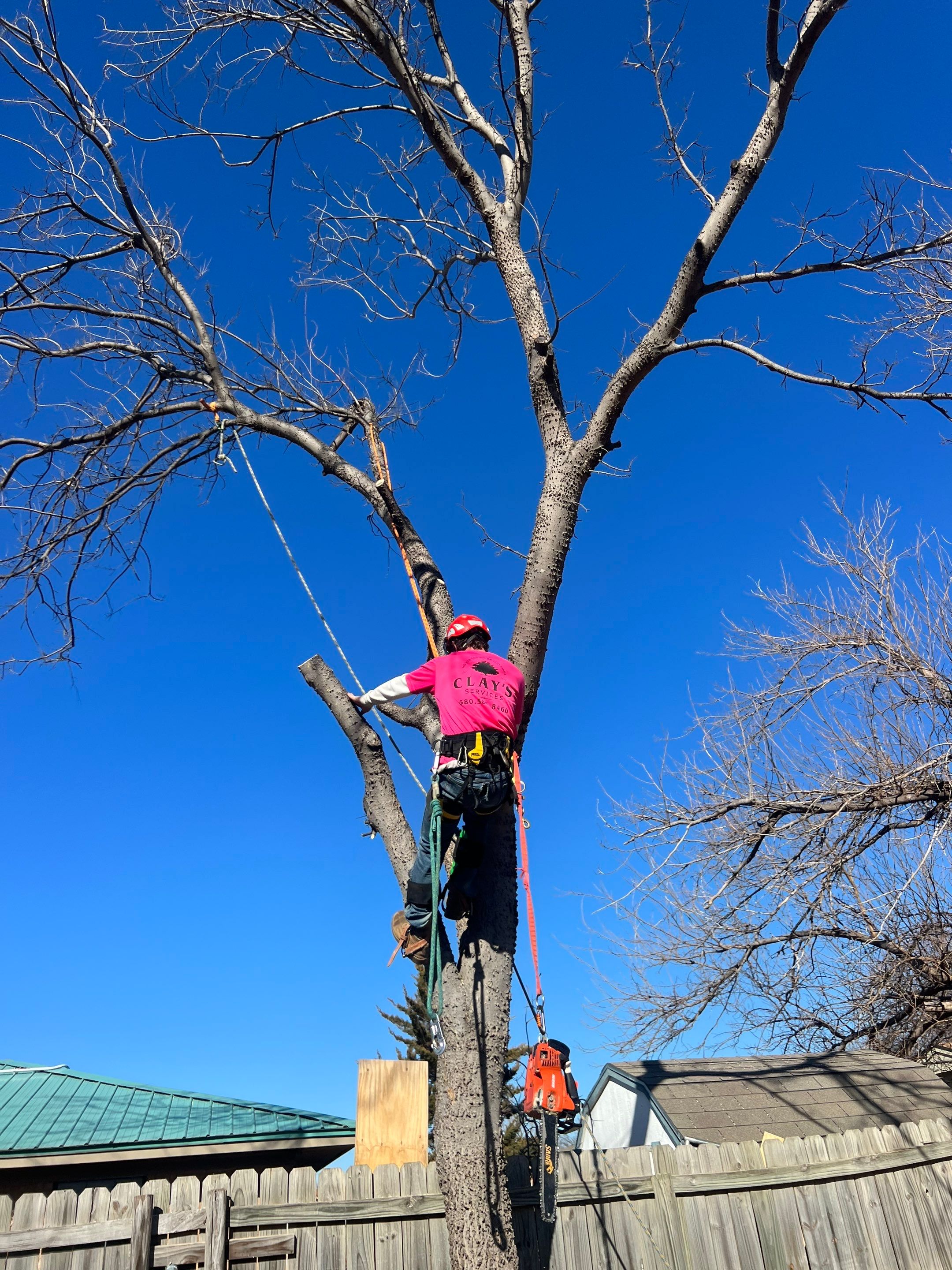 Fence , Concrete Pads , and Tree Removal by Clays Services Inc