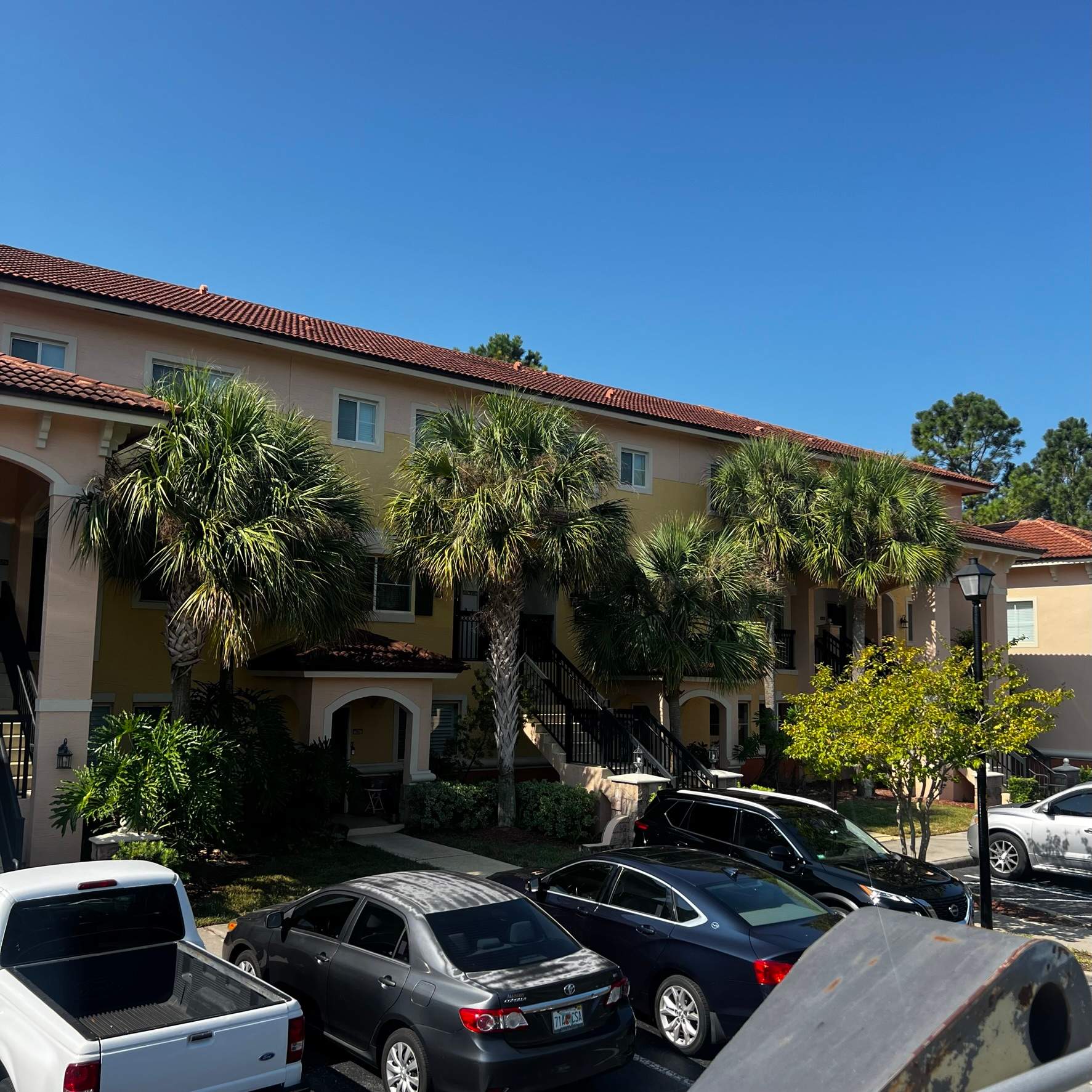 Palm Tree Trimming | IL Villagio Condominiums by ProGreen Services