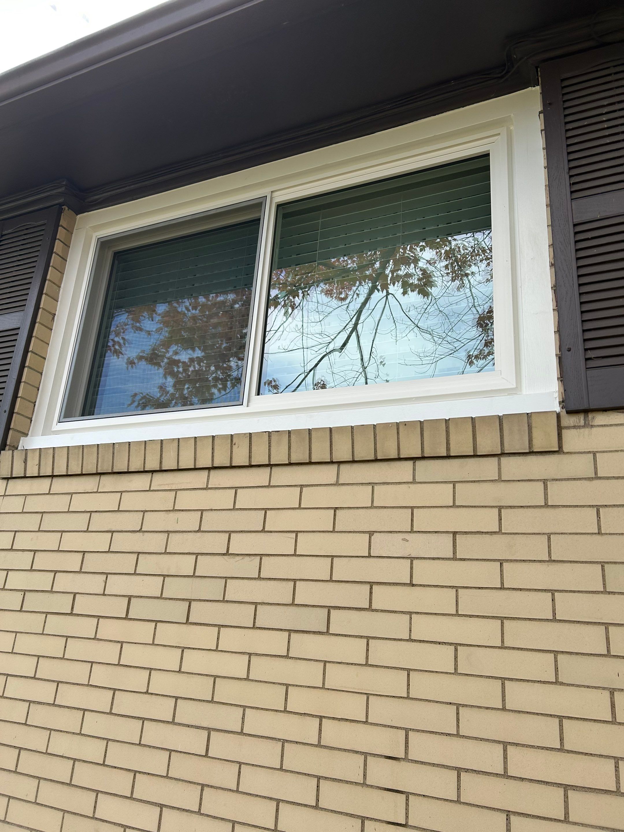 Windows in Carrollton by Ohio State Windows