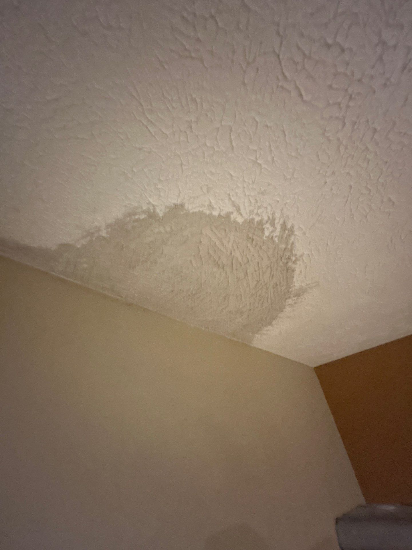Interior repairs and repaint!! by Gordon Painting