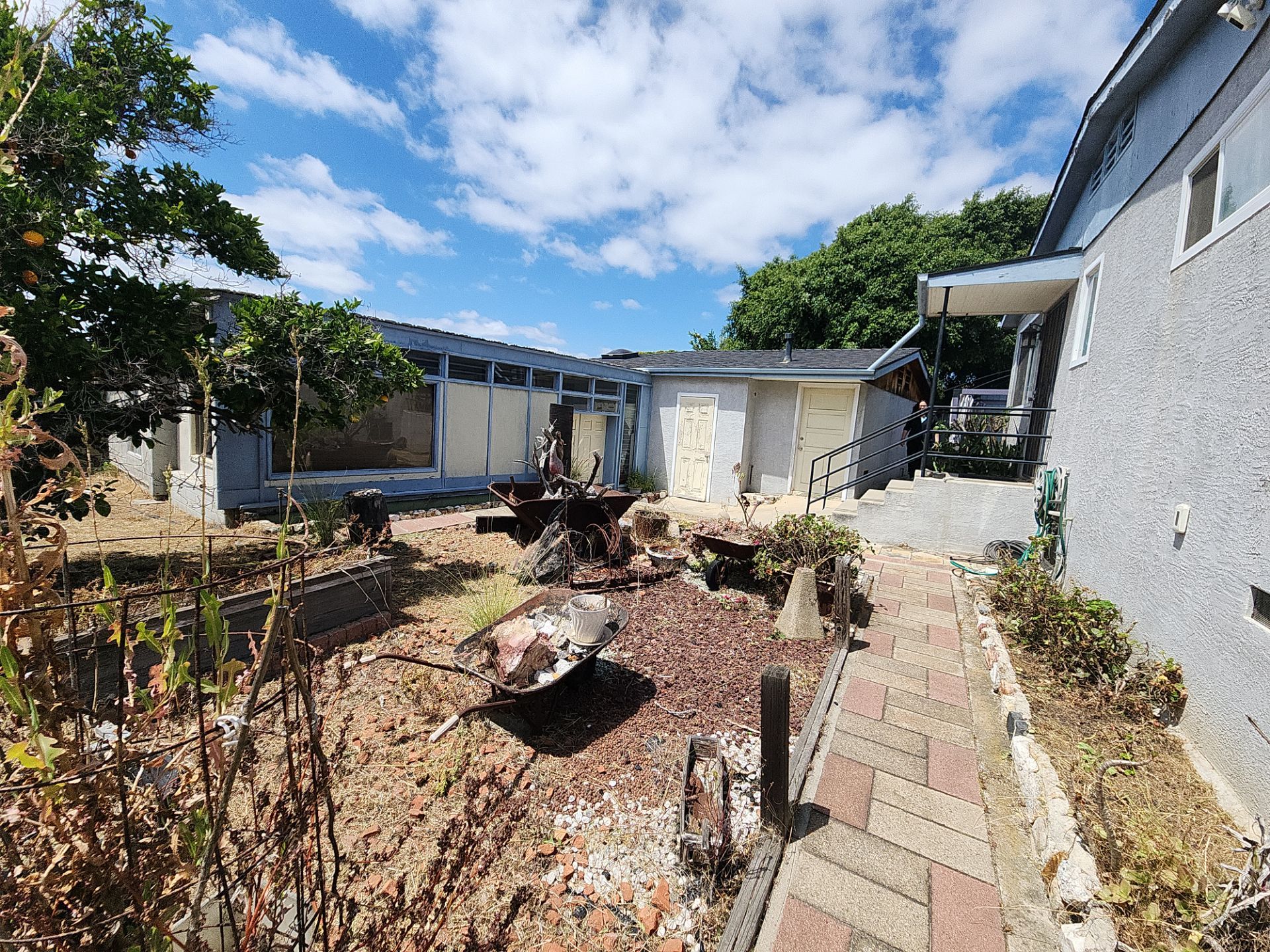 Residential Site Clearing and Landscape Clean Up in San Diego by Yard Techs