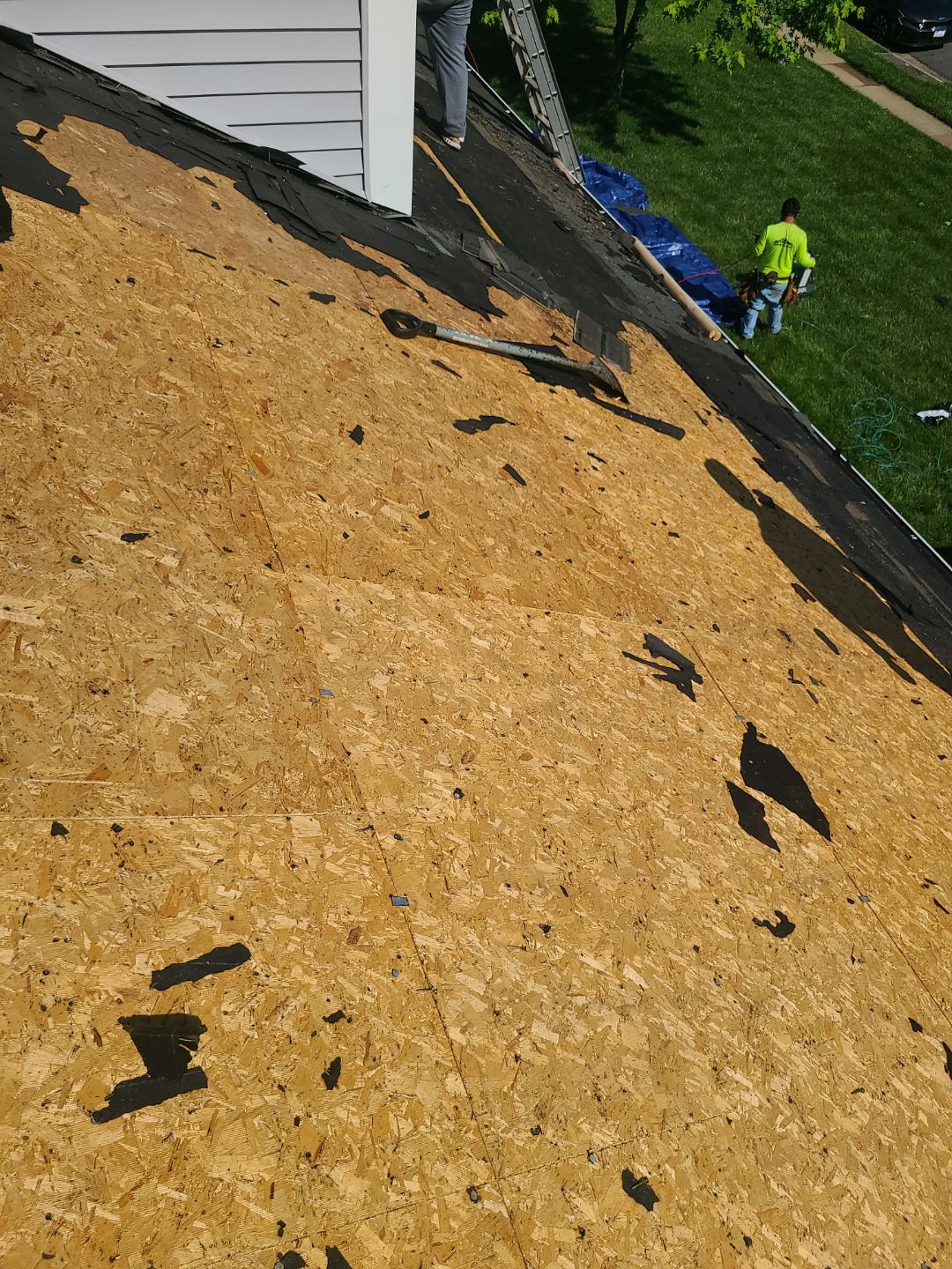 Springfield: CertainTeed Landmark Pro Designer Shingles in Max Def Moire Black by RM Banning, Inc.