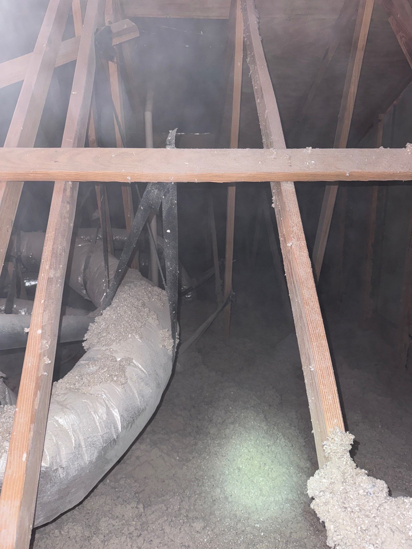 Sun Energy Insulation featured photo.